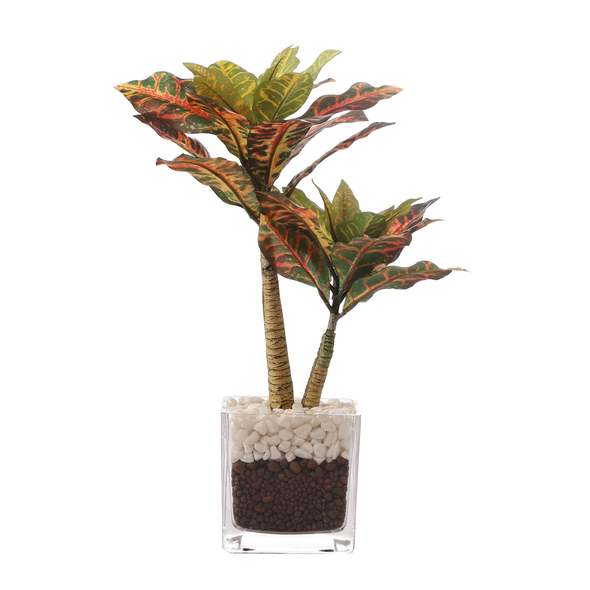 Croton Faux Bonsai Plant in Glass Pot