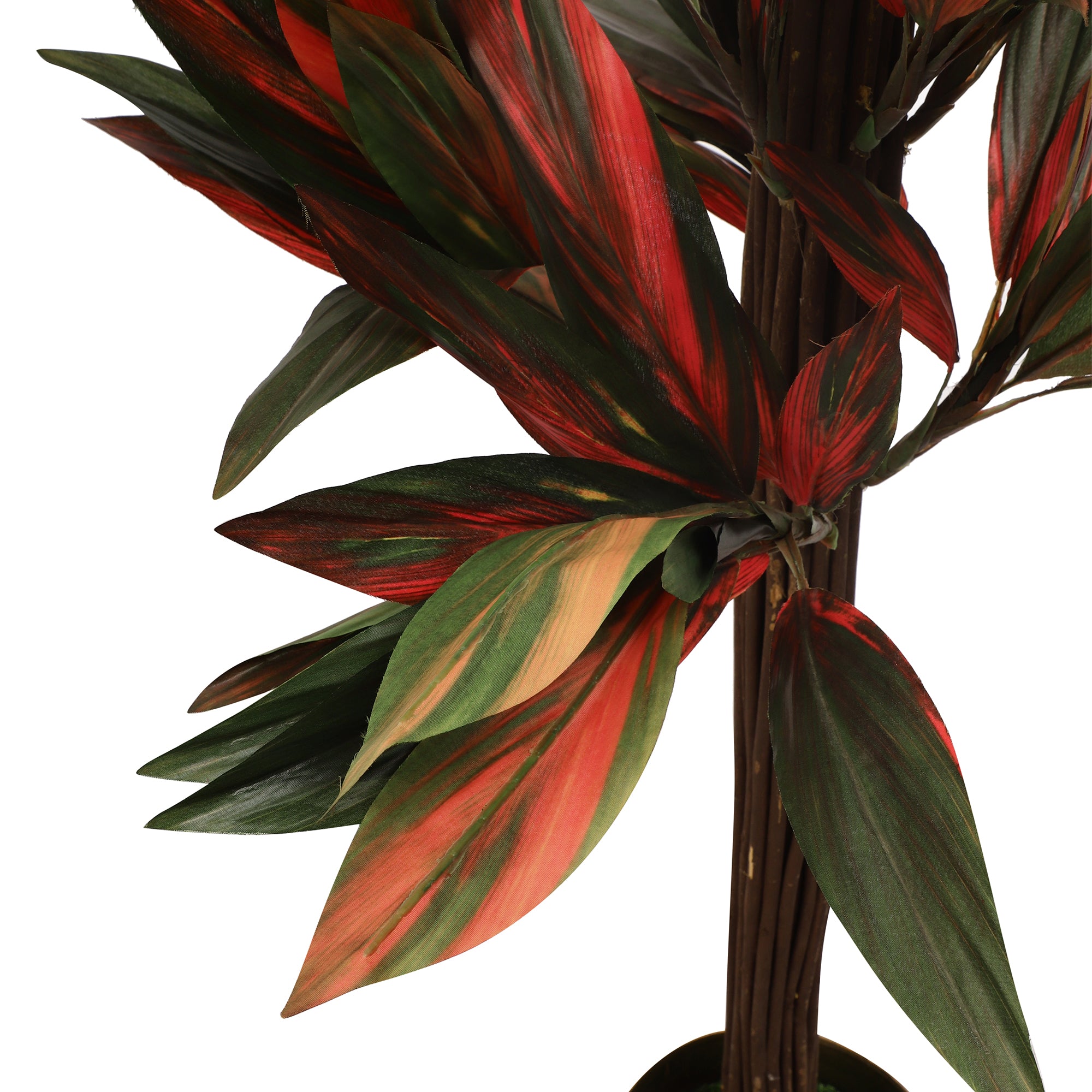 dracaena red ruby plant Ruby Red Dracaena Faux Plant (Tall)