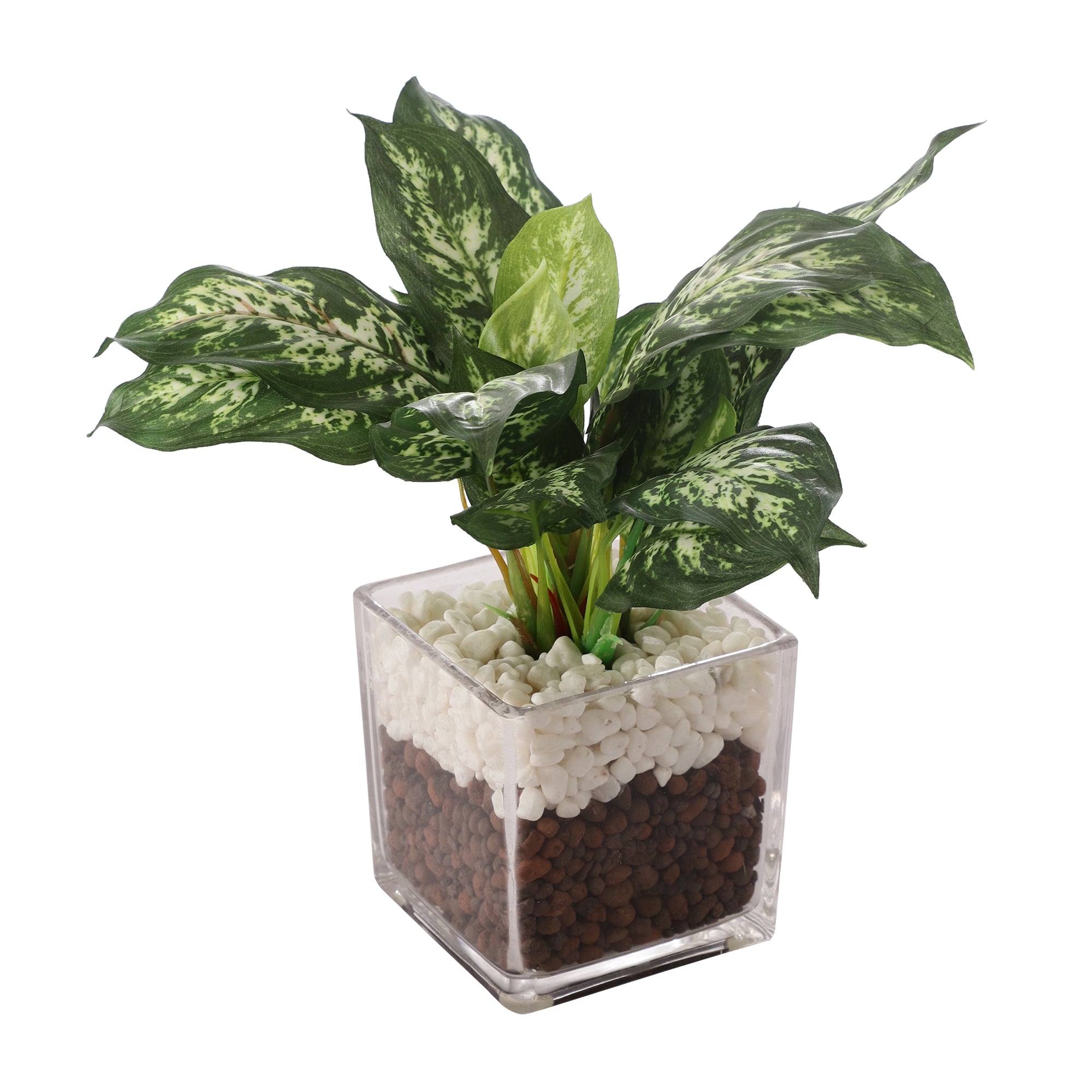 Dieffenbachia Faux Plant in Glass Pot