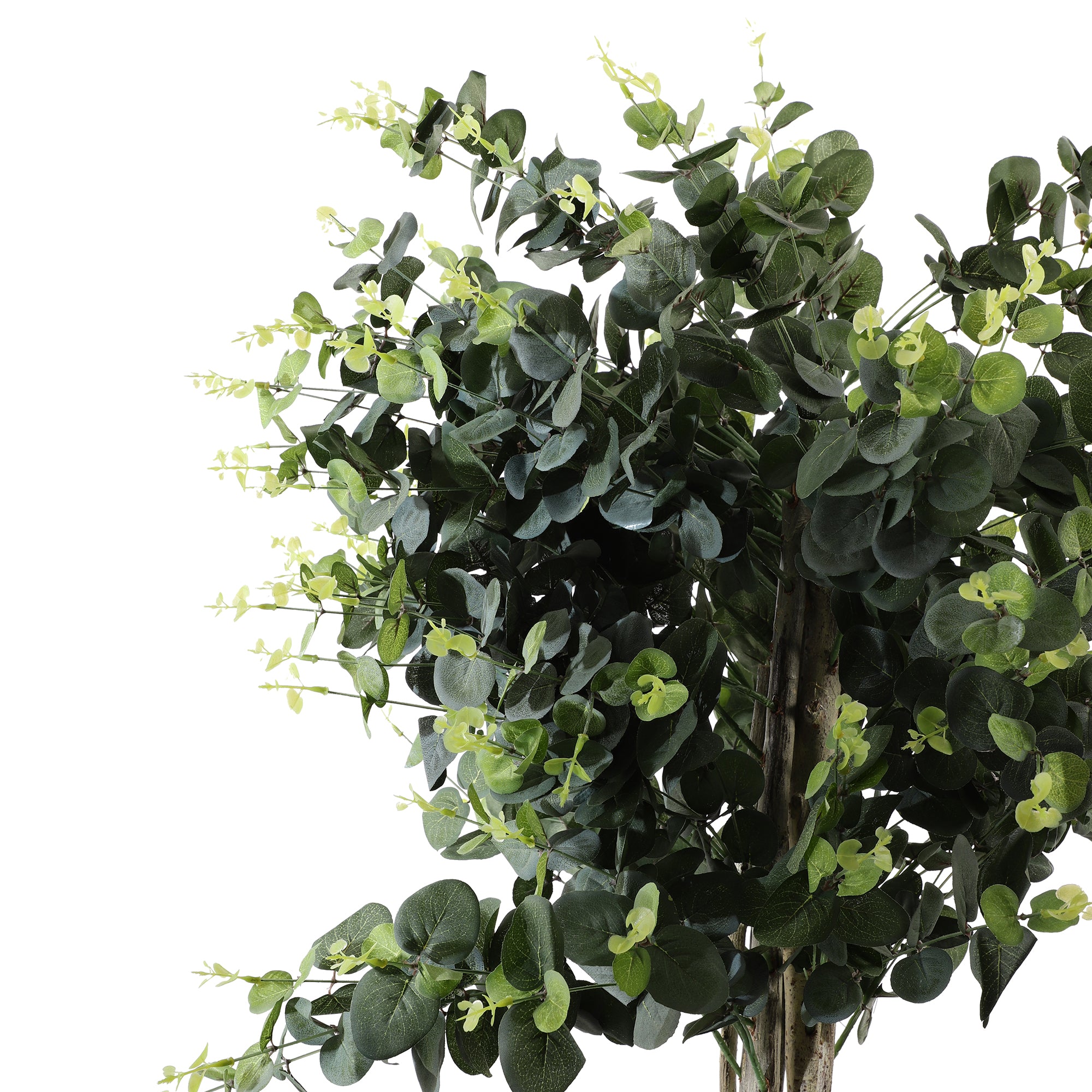 Ficus Bonsai Flowered Faux Plant Without Pot