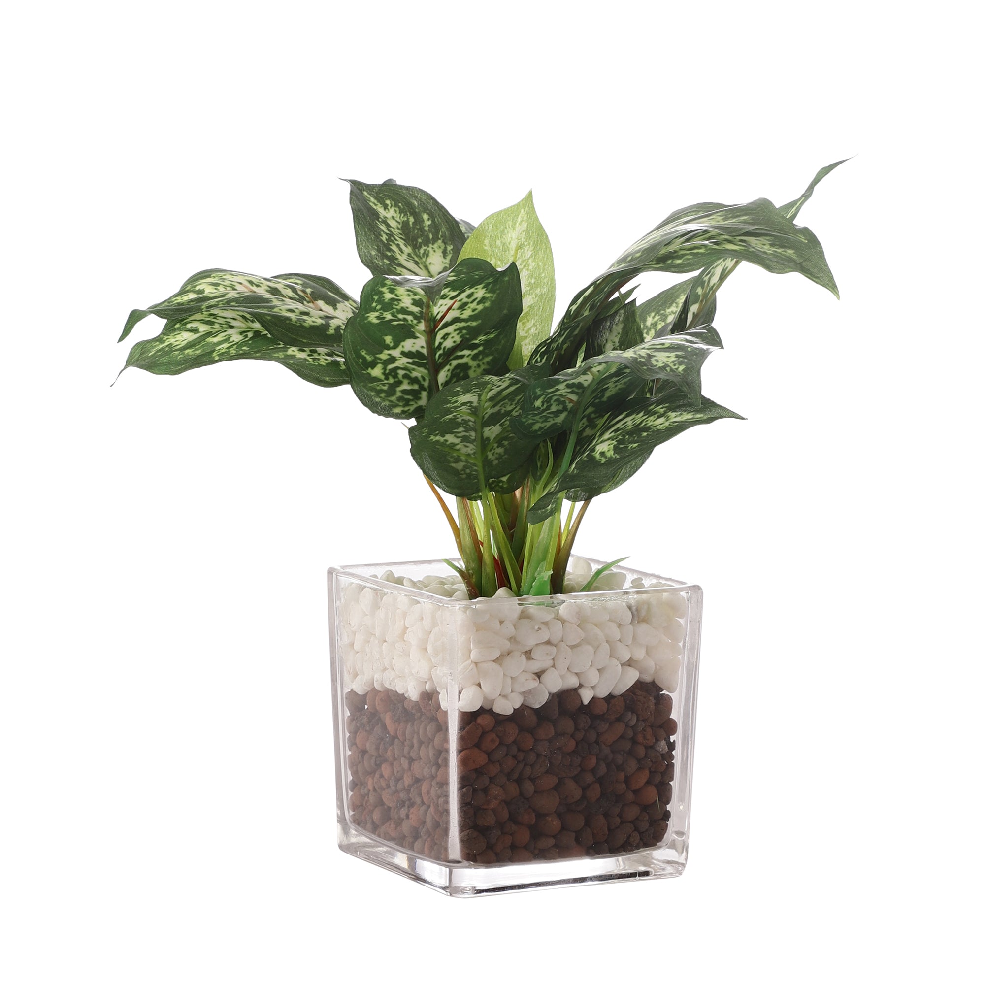 Dieffenbachia Faux Plant in Glass Pot