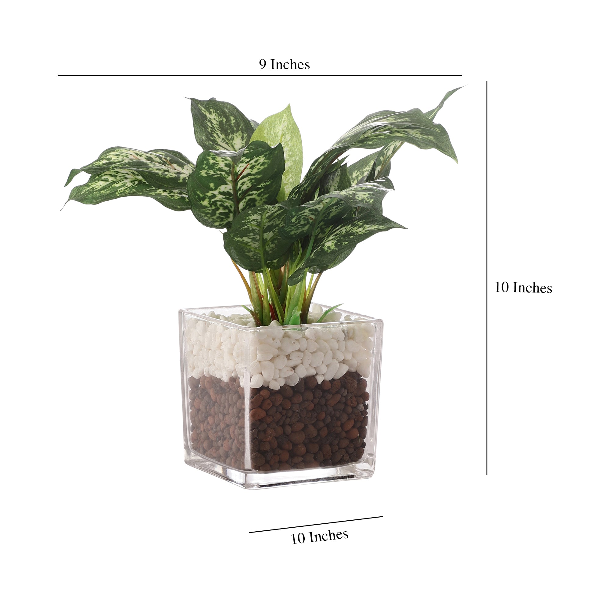 Dieffenbachia Faux Plant in Glass Pot