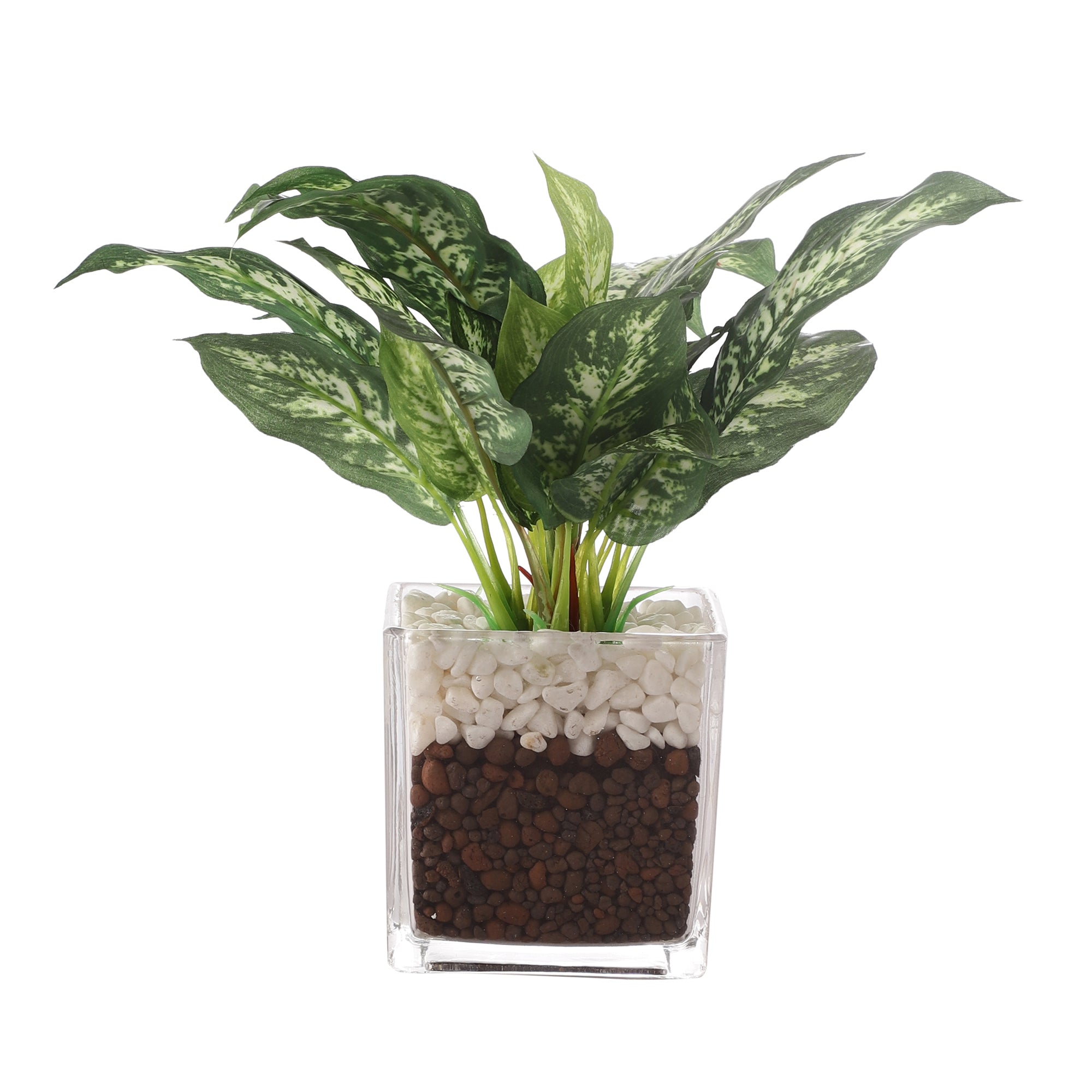 Dieffenbachia Faux Plant in Glass Pot