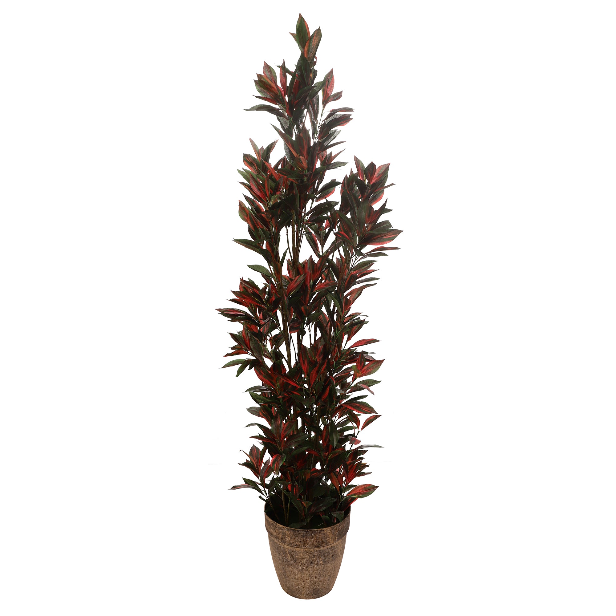 Green/Red Dracaena Faux Plant (Tall)