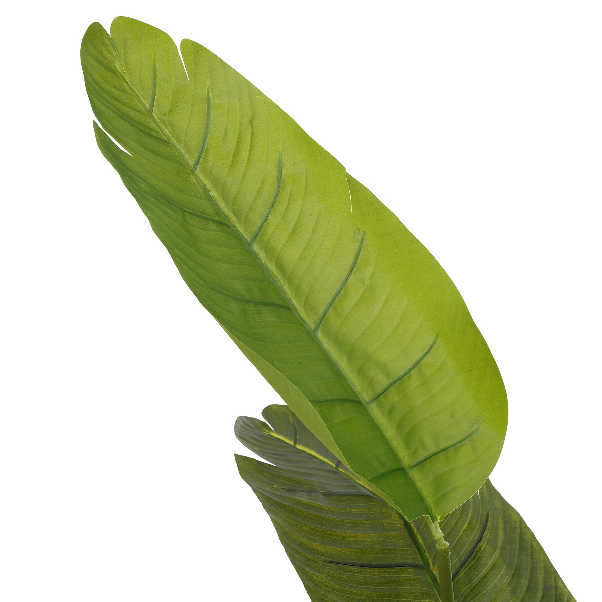 Banana Palm Faux Plant (Tall)