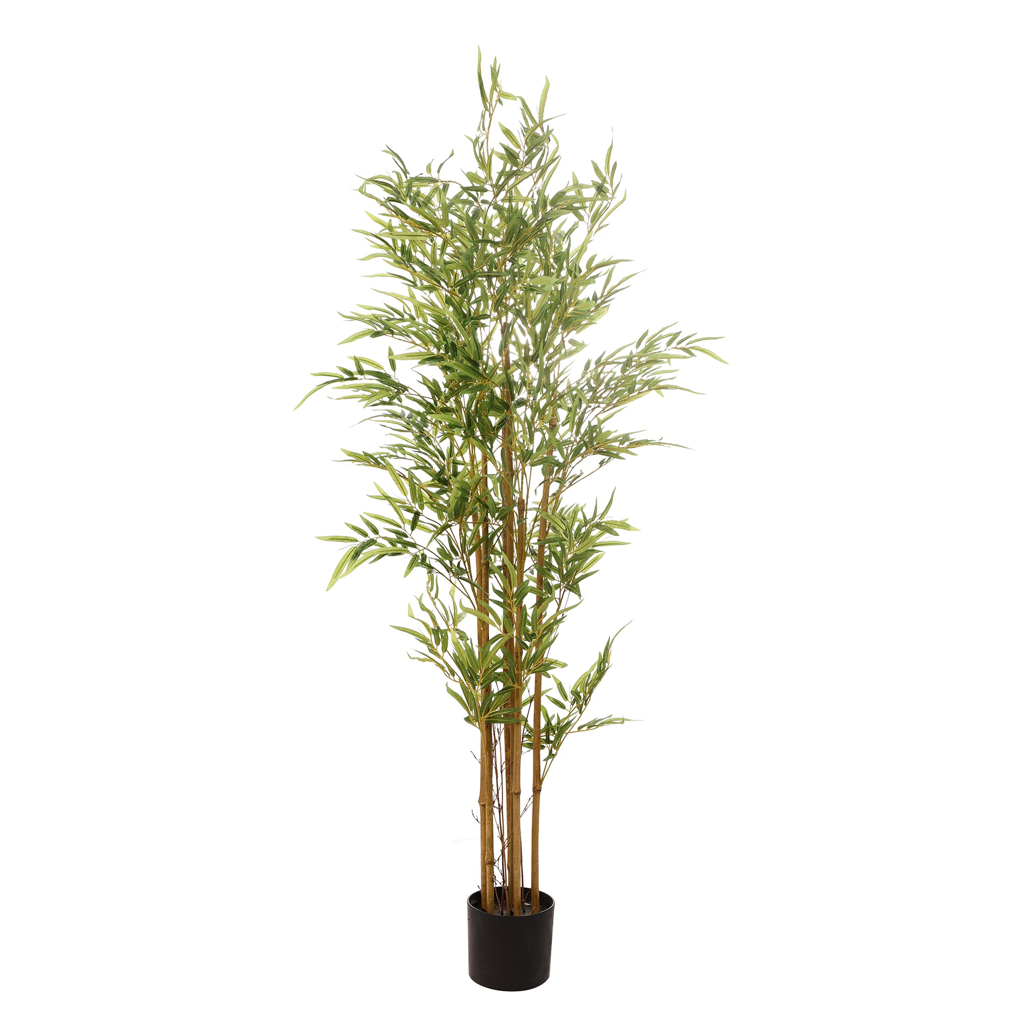 Bamboo Faux Plant (Medium)