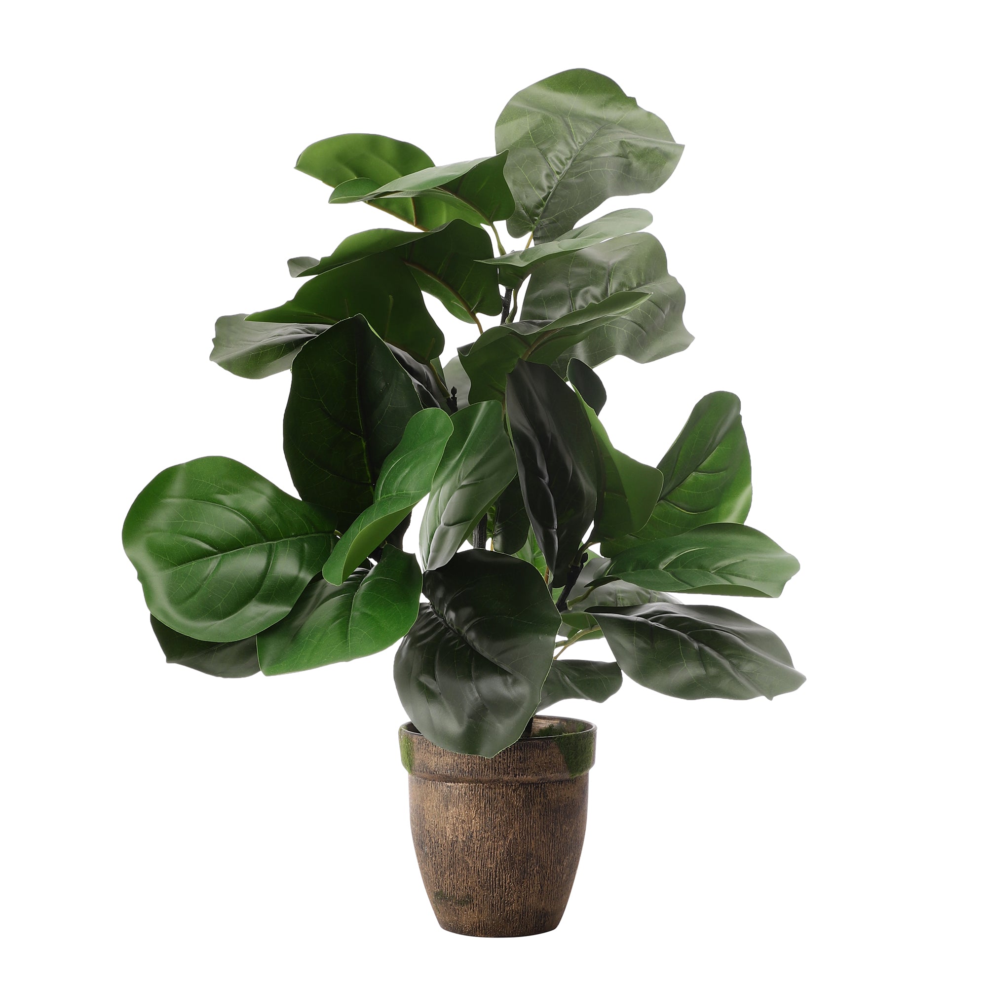 Fiddle Leaf Fig Faux Plant