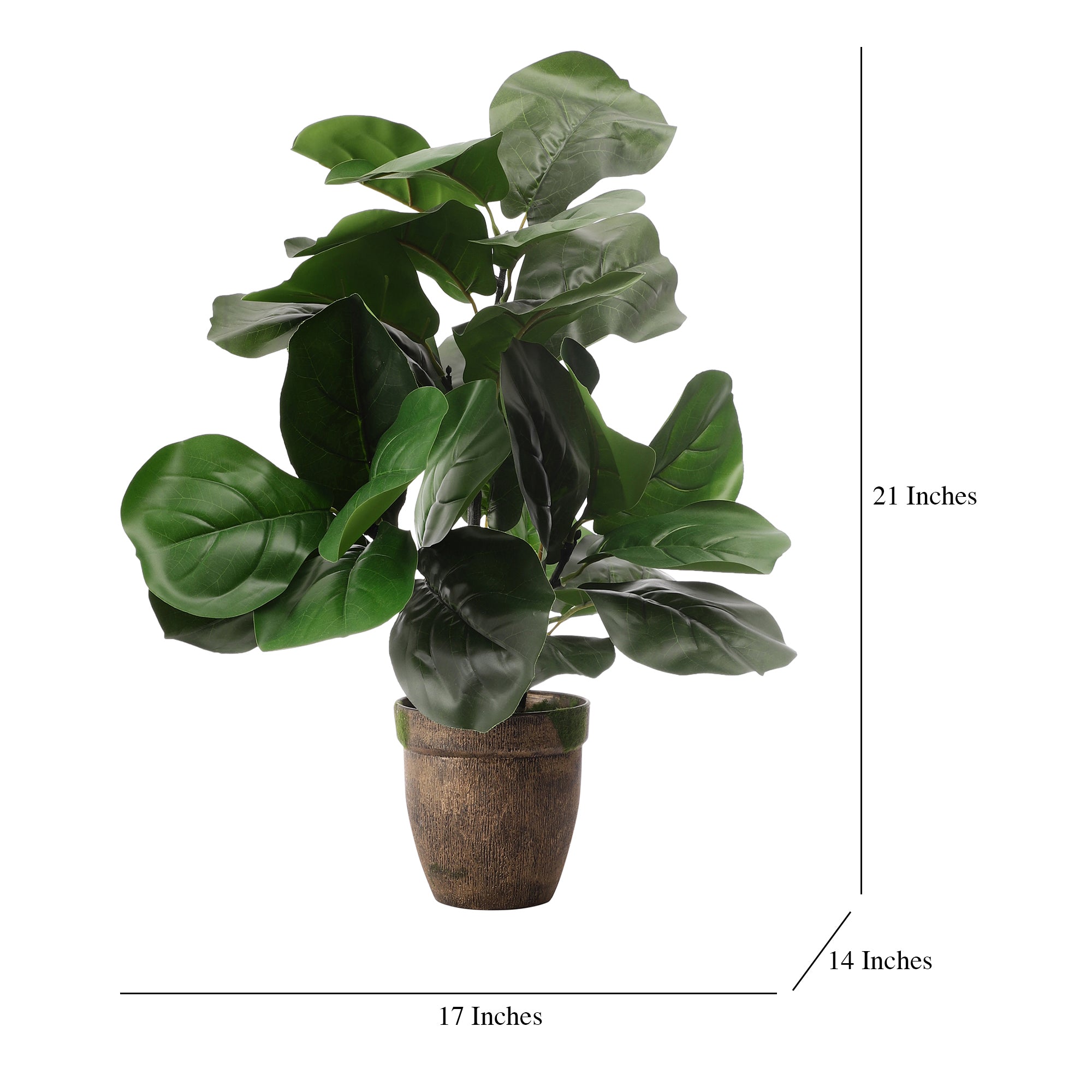 Fiddle Leaf Fig Faux Plant