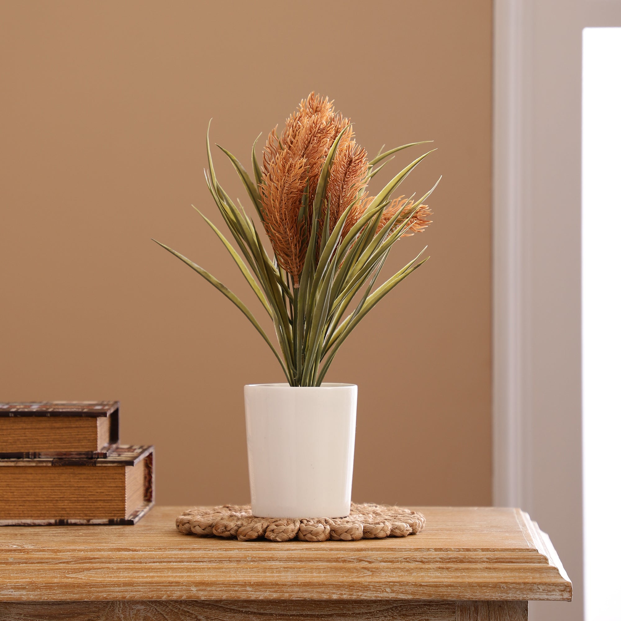 Sunkissed Yucca Pampas Bonsai Ceramic Potted Plant