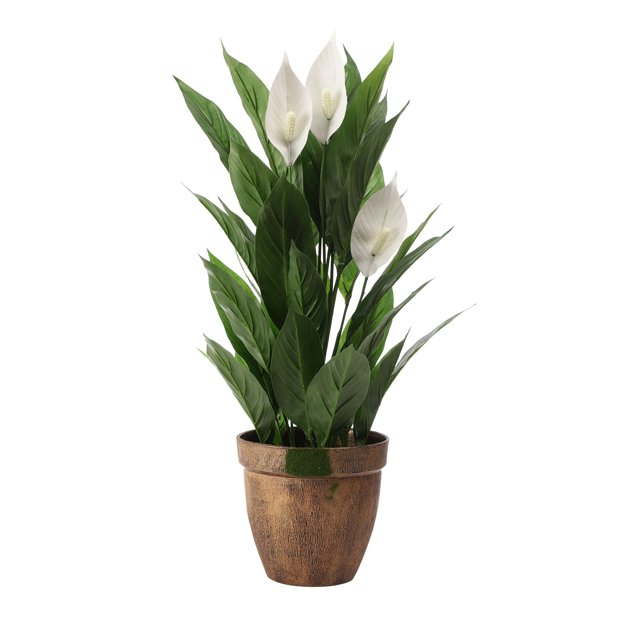 Peace Lilly Faux Plant