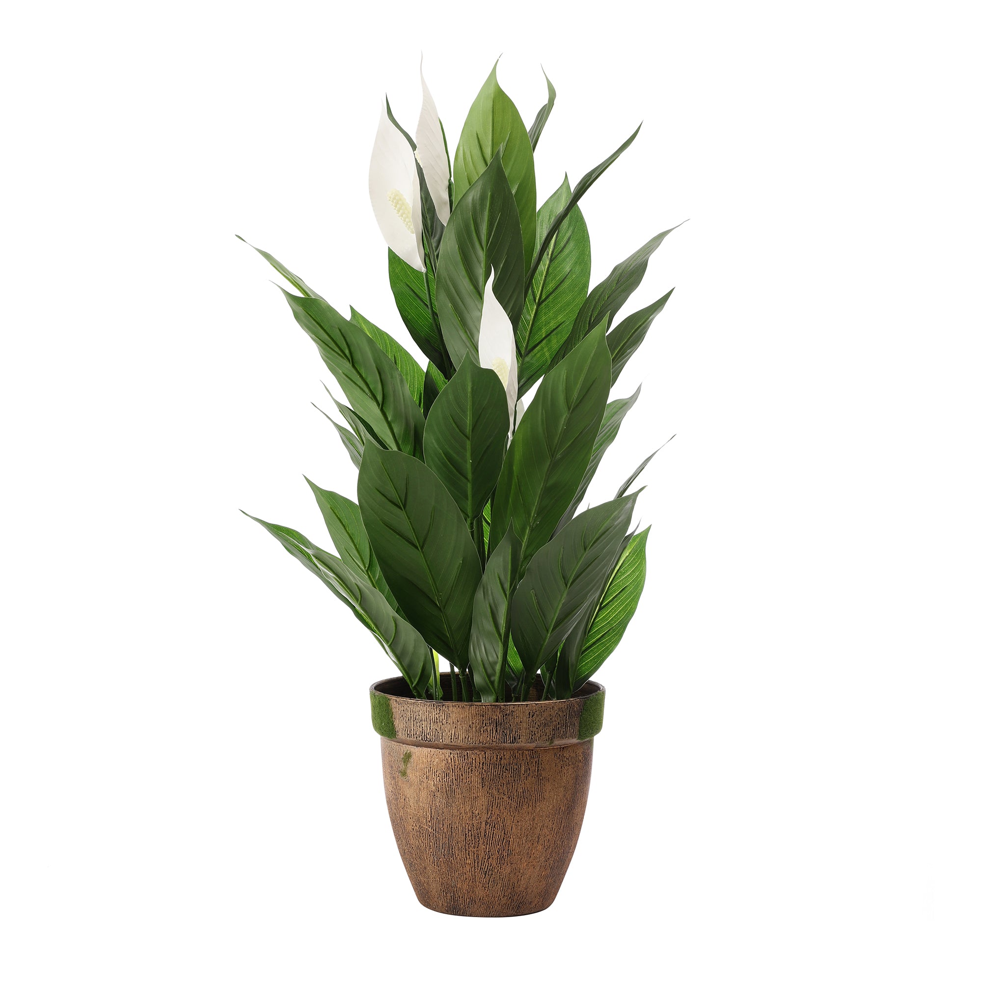 Peace Lilly Faux Plant