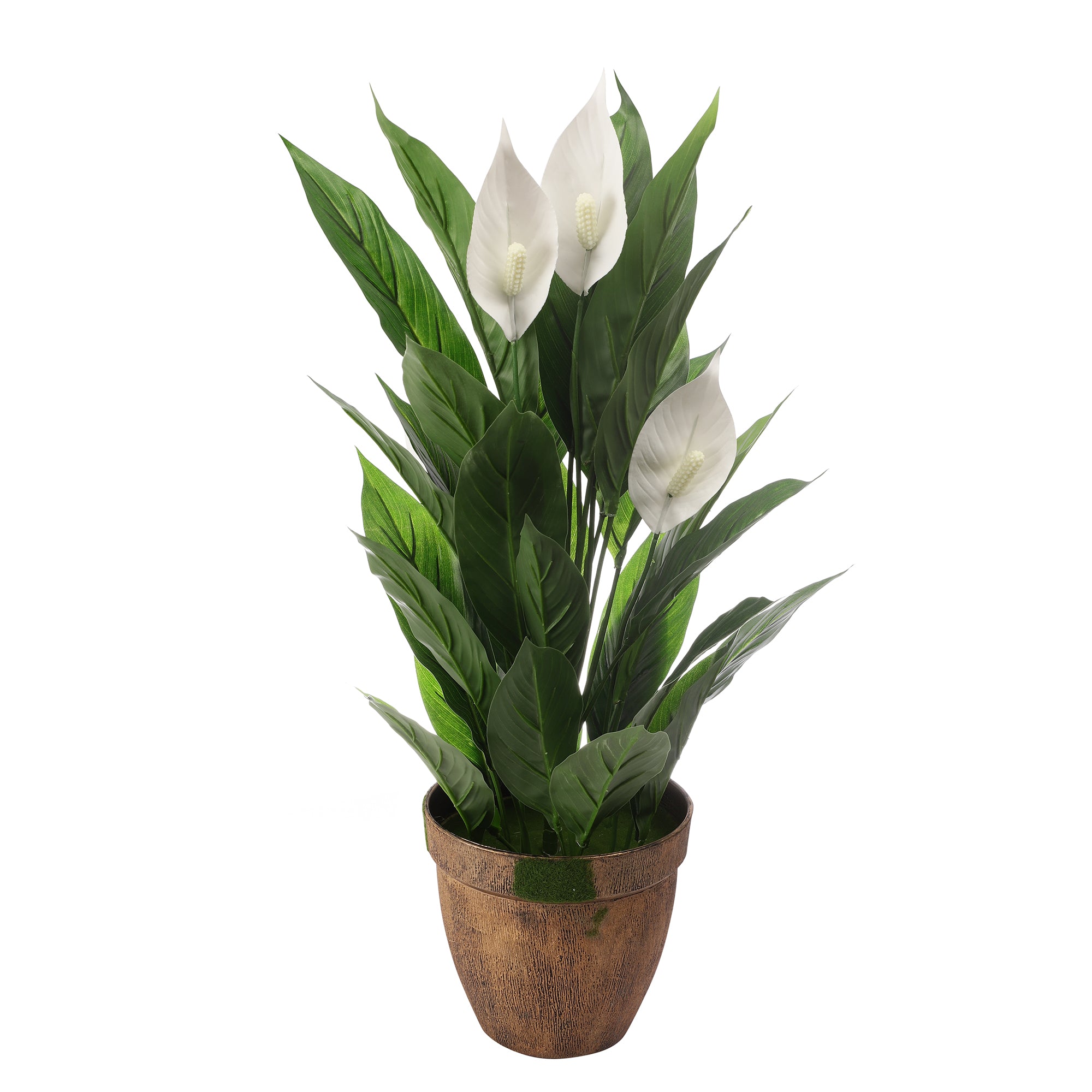 Peace Lilly Faux Plant