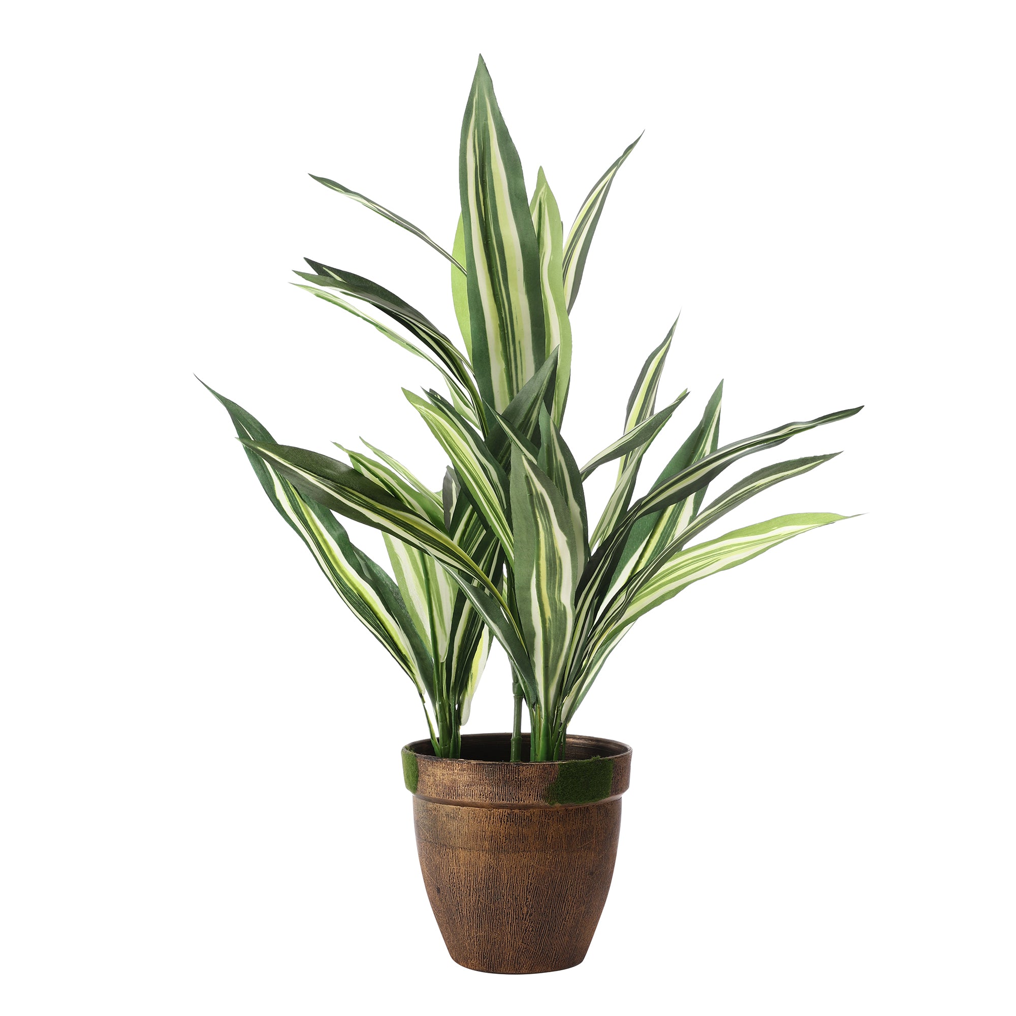 Striped Dracaena Faux Plant