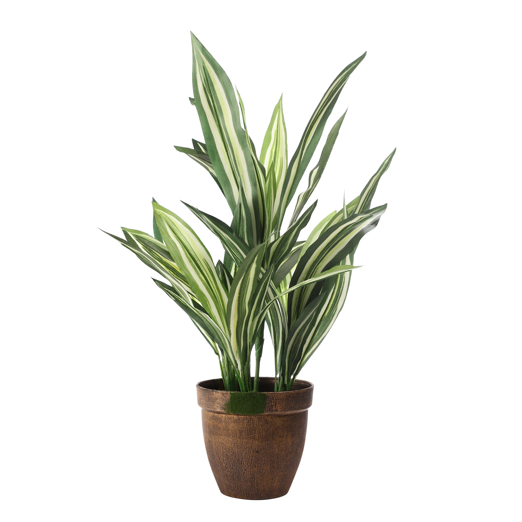 Striped Dracaena Faux Plant