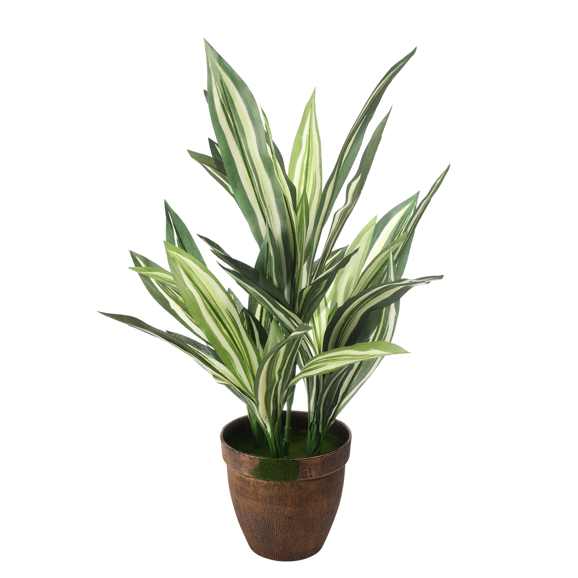 Striped Dracaena Faux Plant