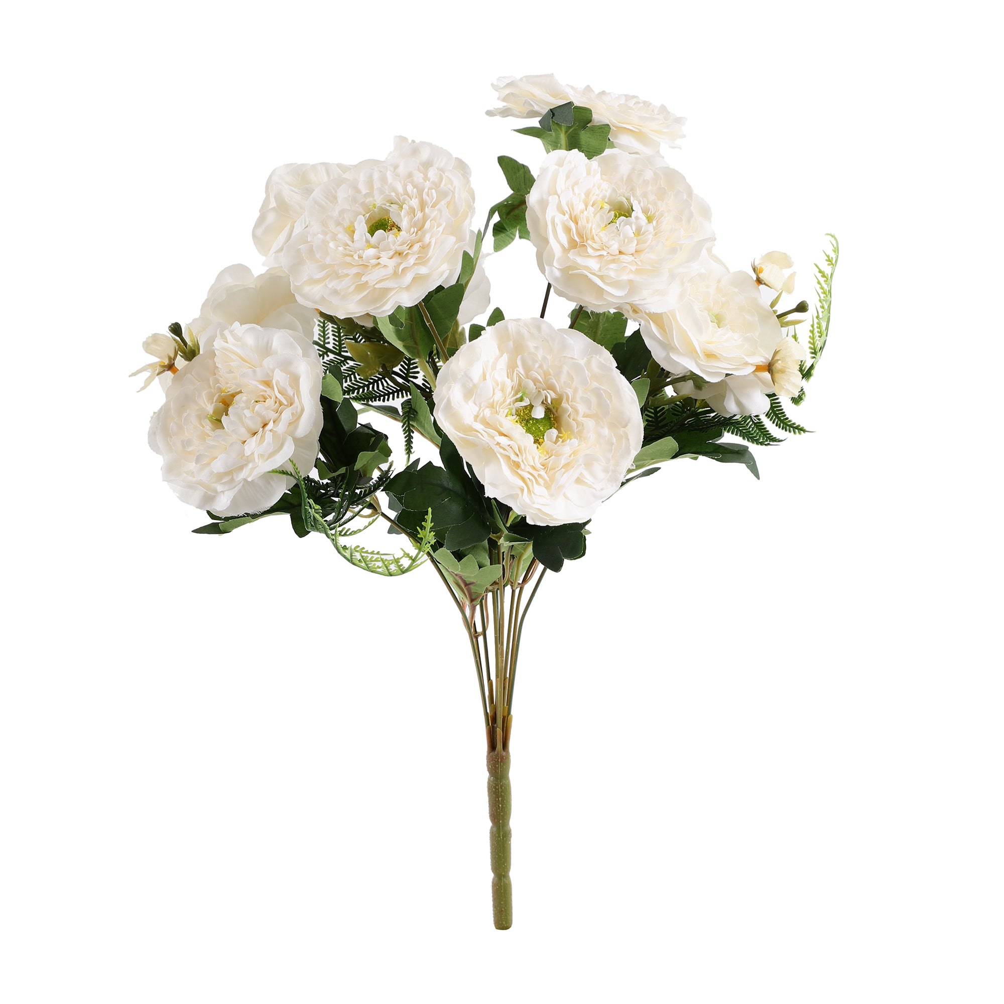 White Ranunculus Fern Bunch (Single)