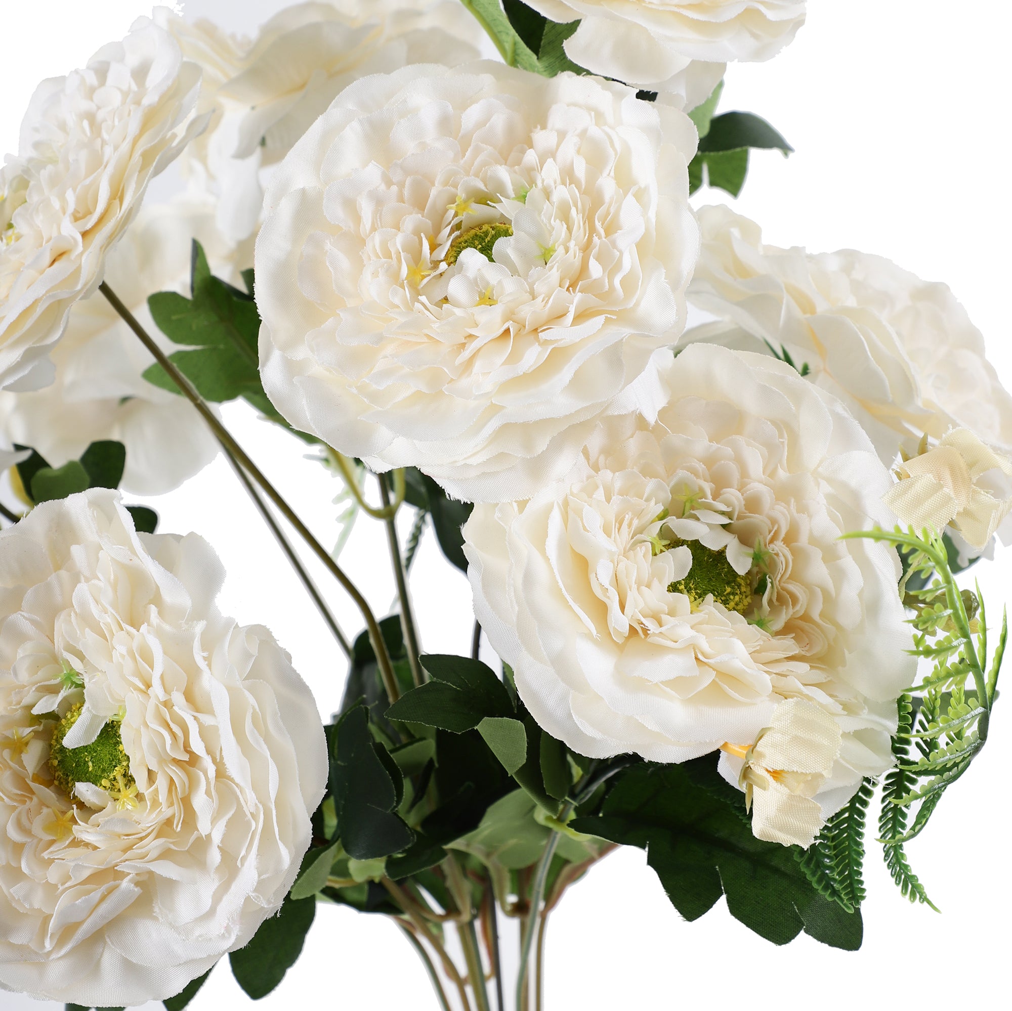 White Ranunculus Fern Bunch (Single)