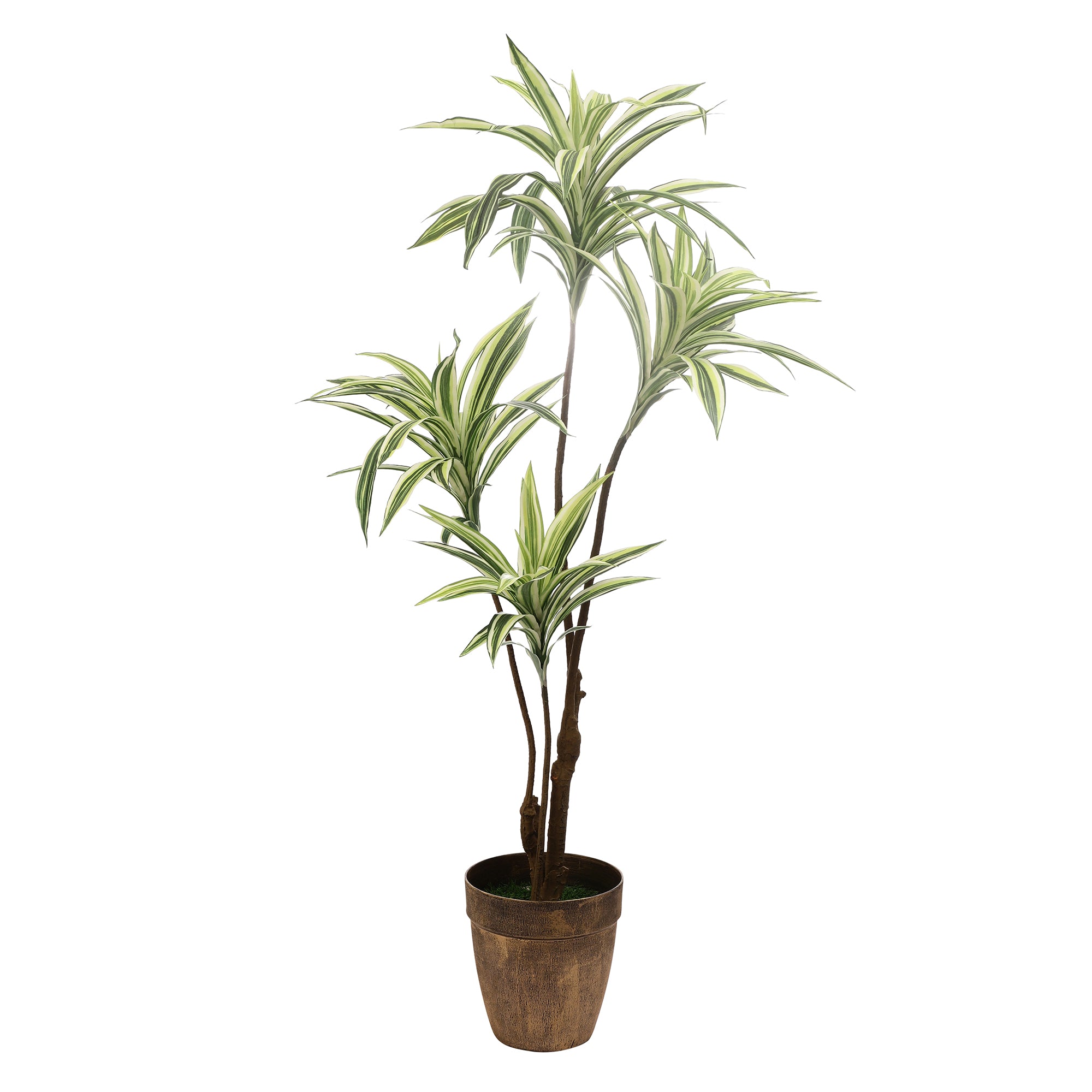 White Striped Dracaena Faux Plant (Tall)