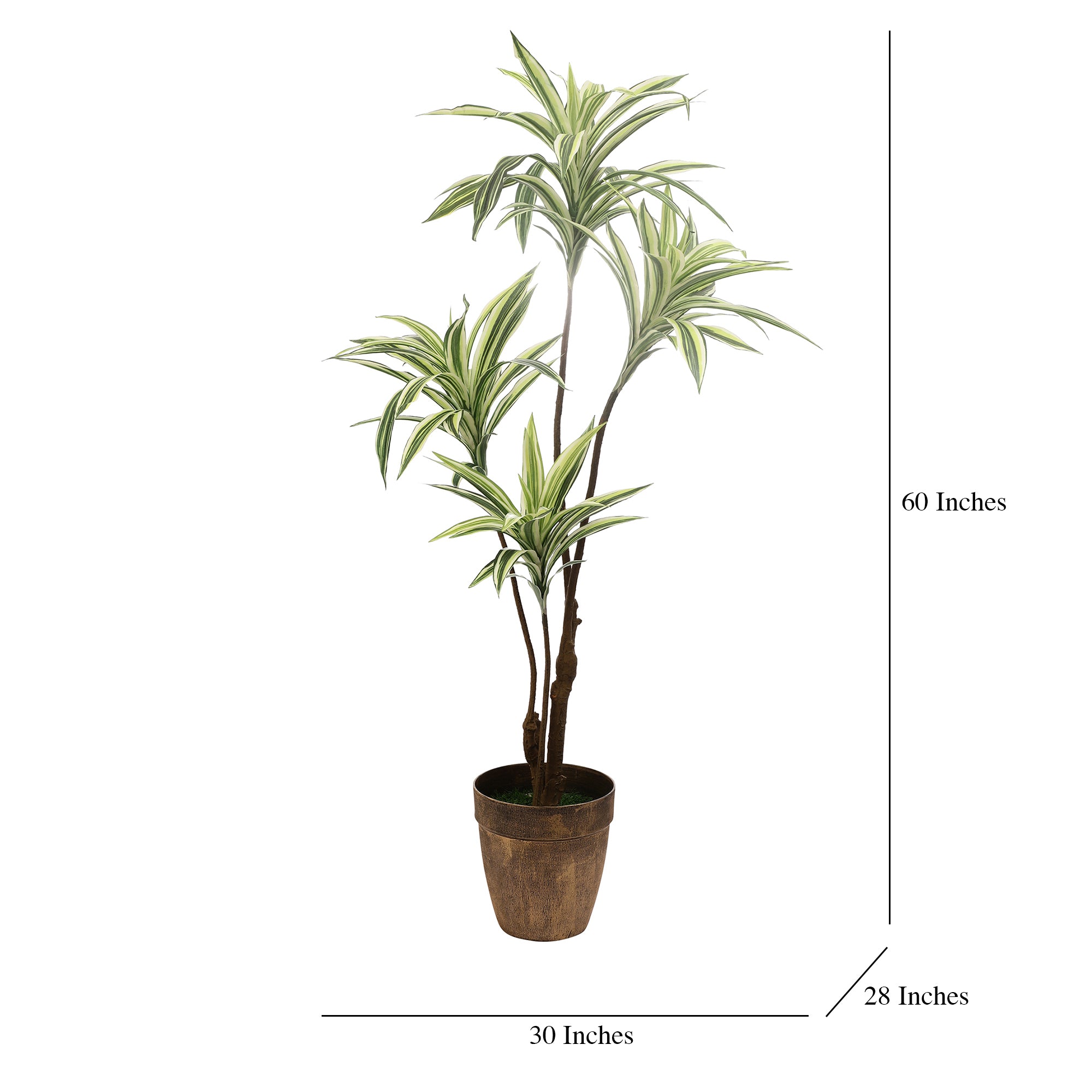 White Striped Dracaena Faux Plant (Tall)