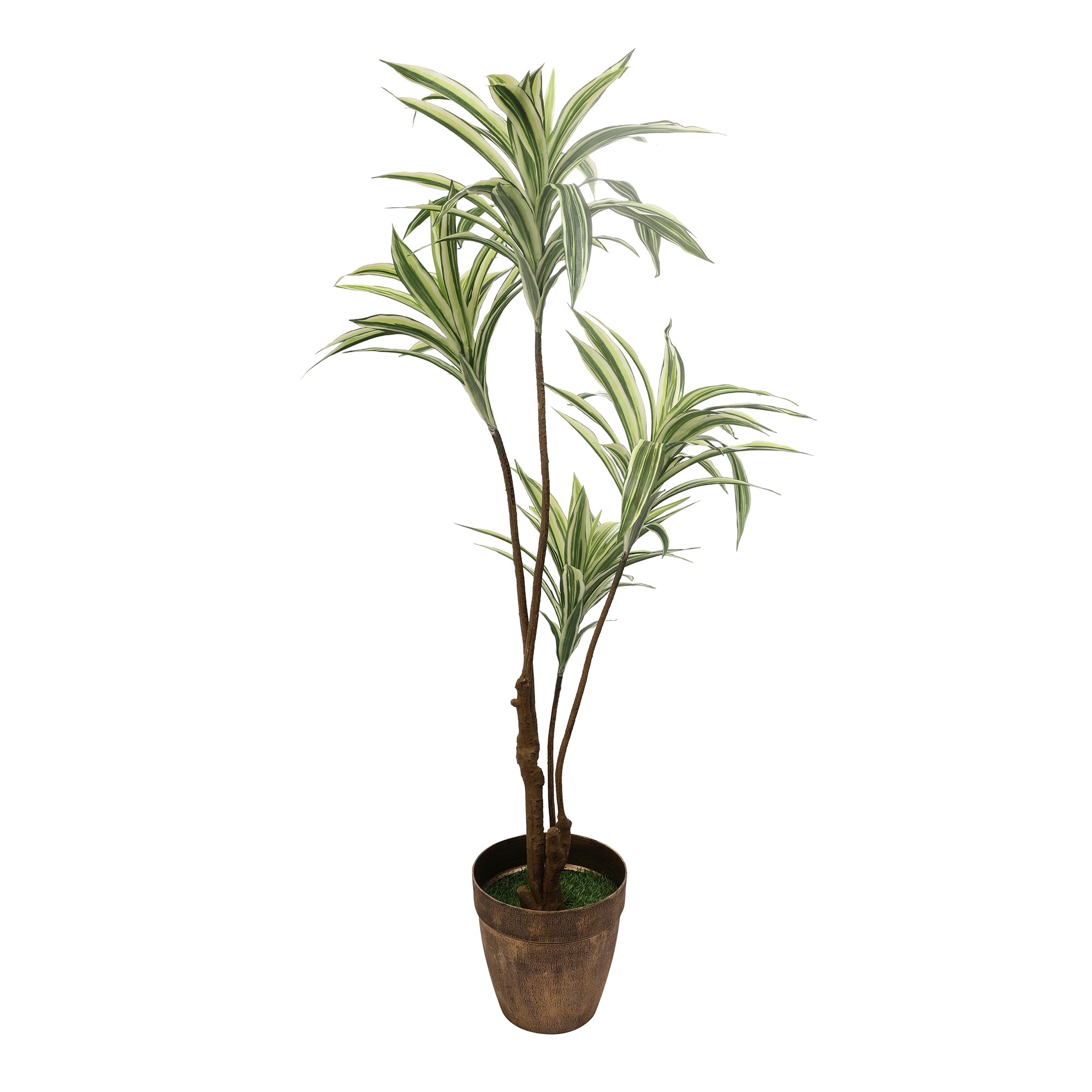 White Striped Dracaena Faux Plant (Tall)