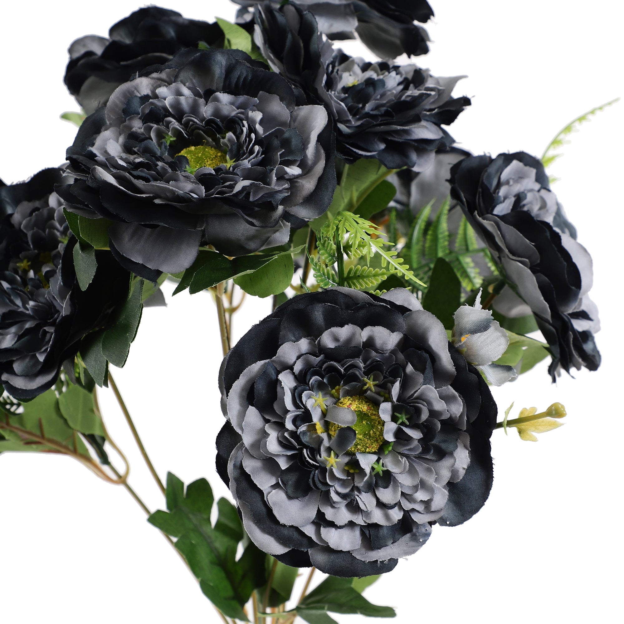 Navy Ranunculus Fern Bunch (Single)