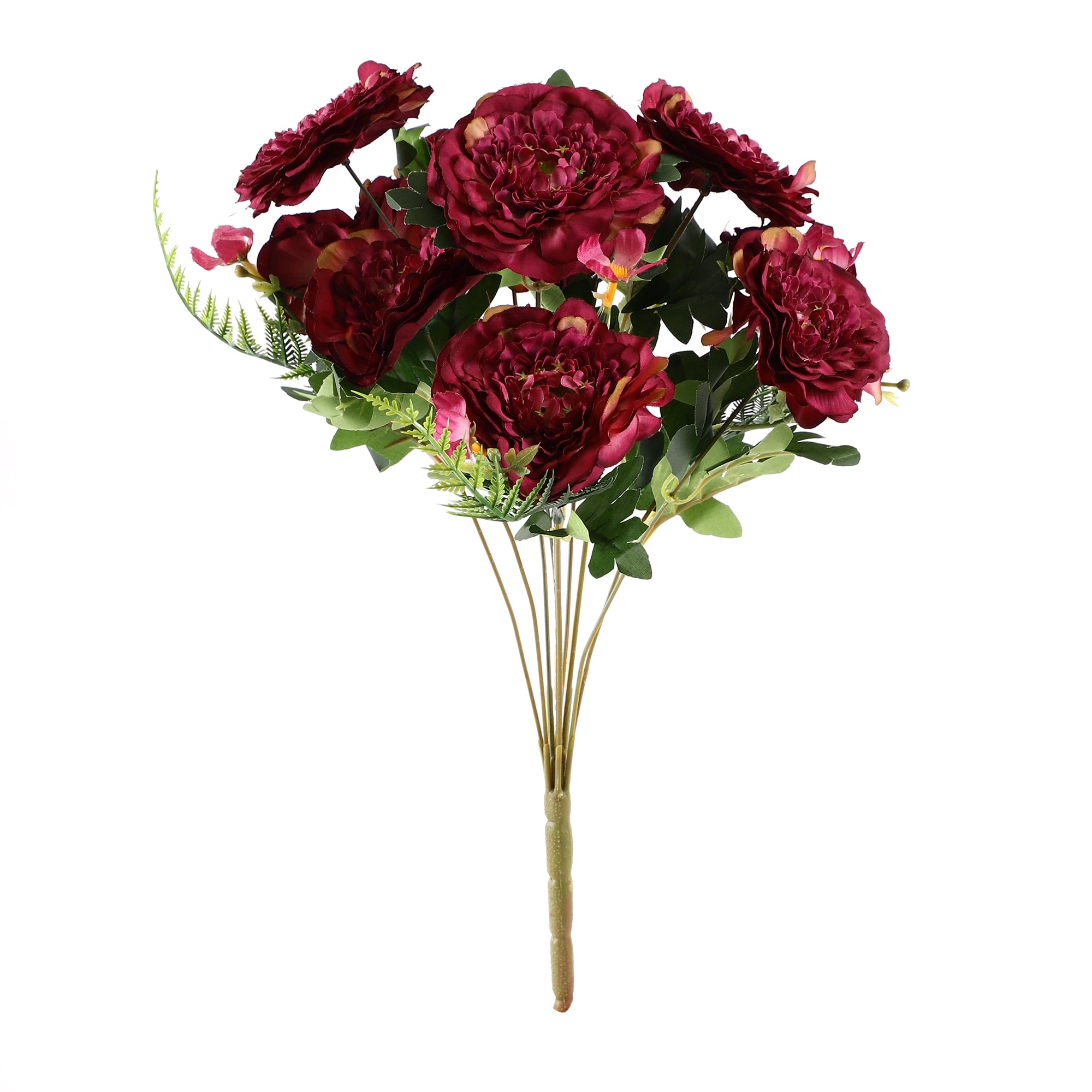 Maroon Ranunculus Fern Bunch (Single)