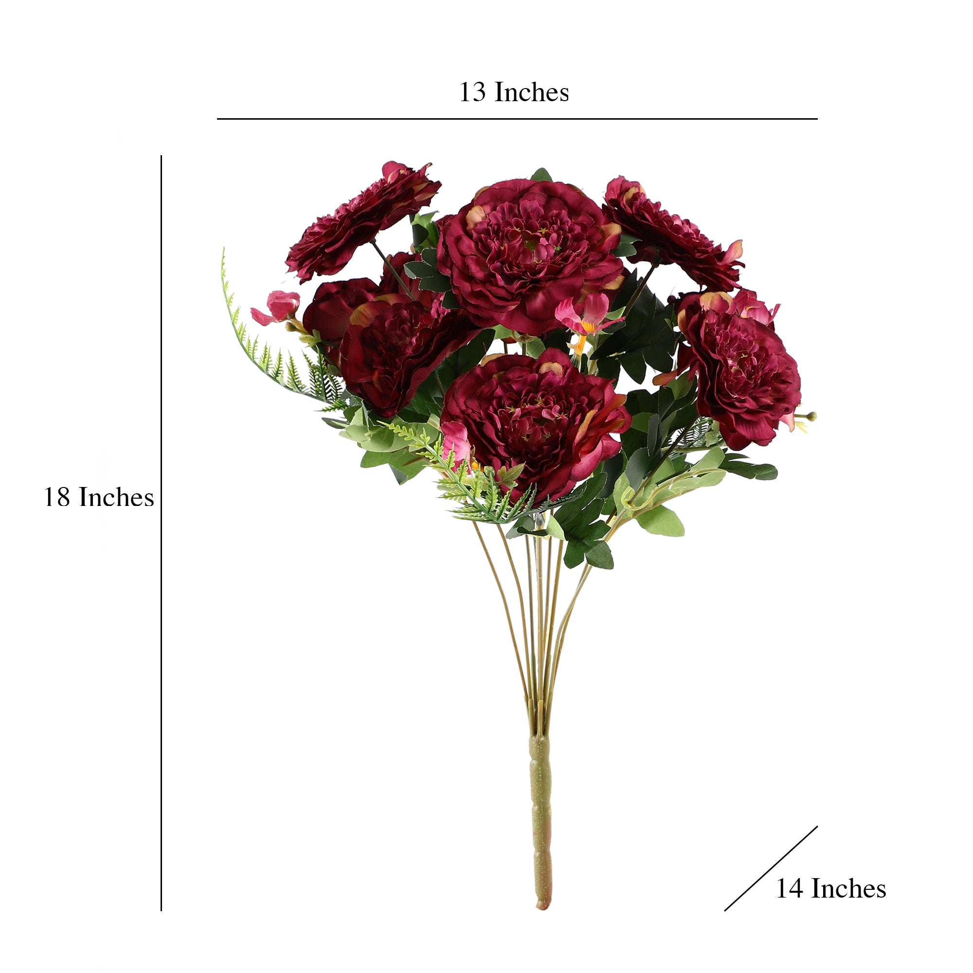 Maroon Ranunculus Fern Bunch (Single)