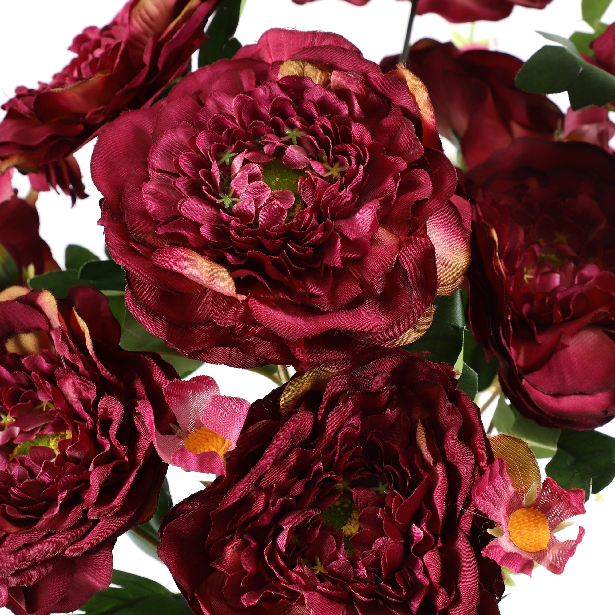 Maroon Ranunculus Fern Bunch (Single)