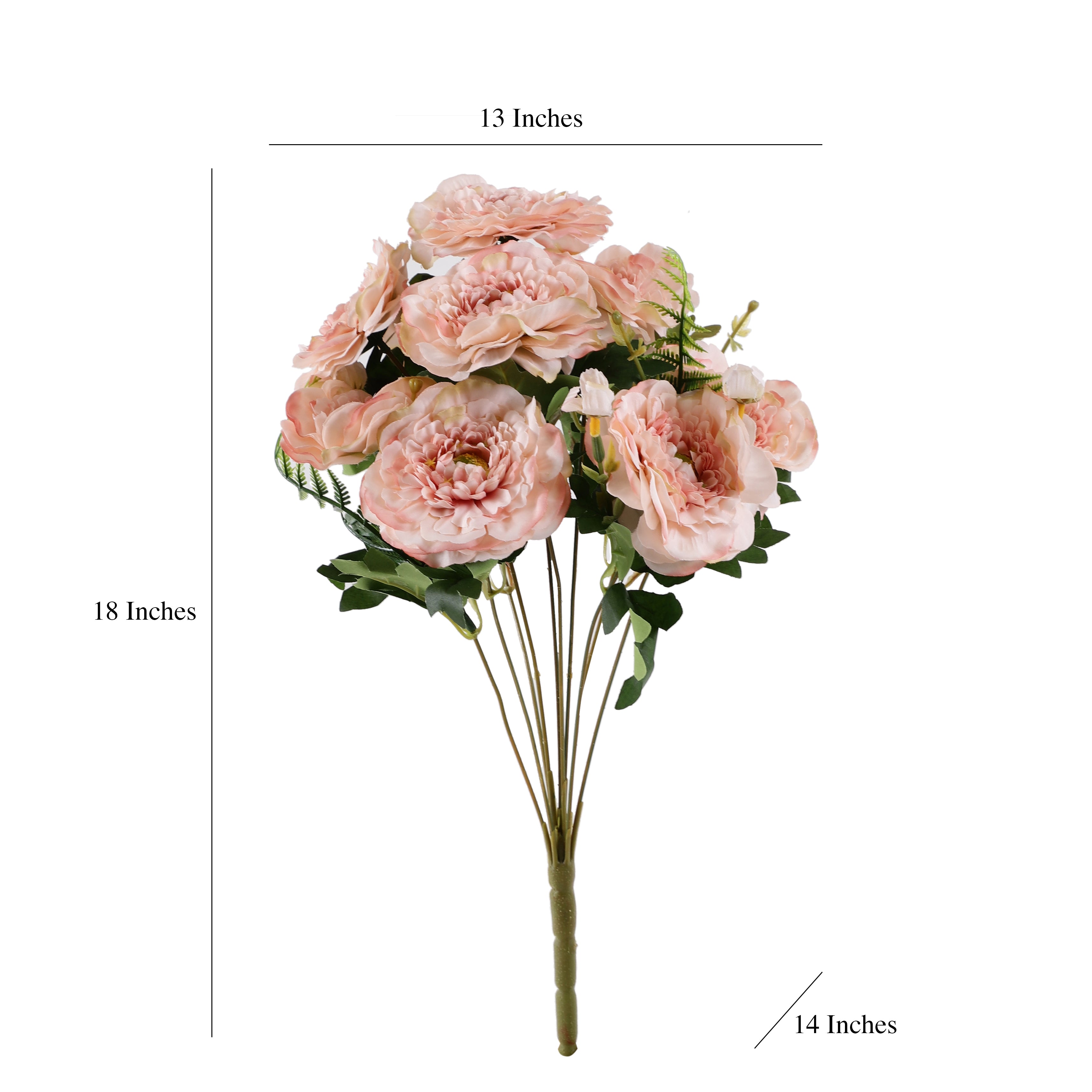 Blush Pink Ranunculus Fern Bunch (Single)