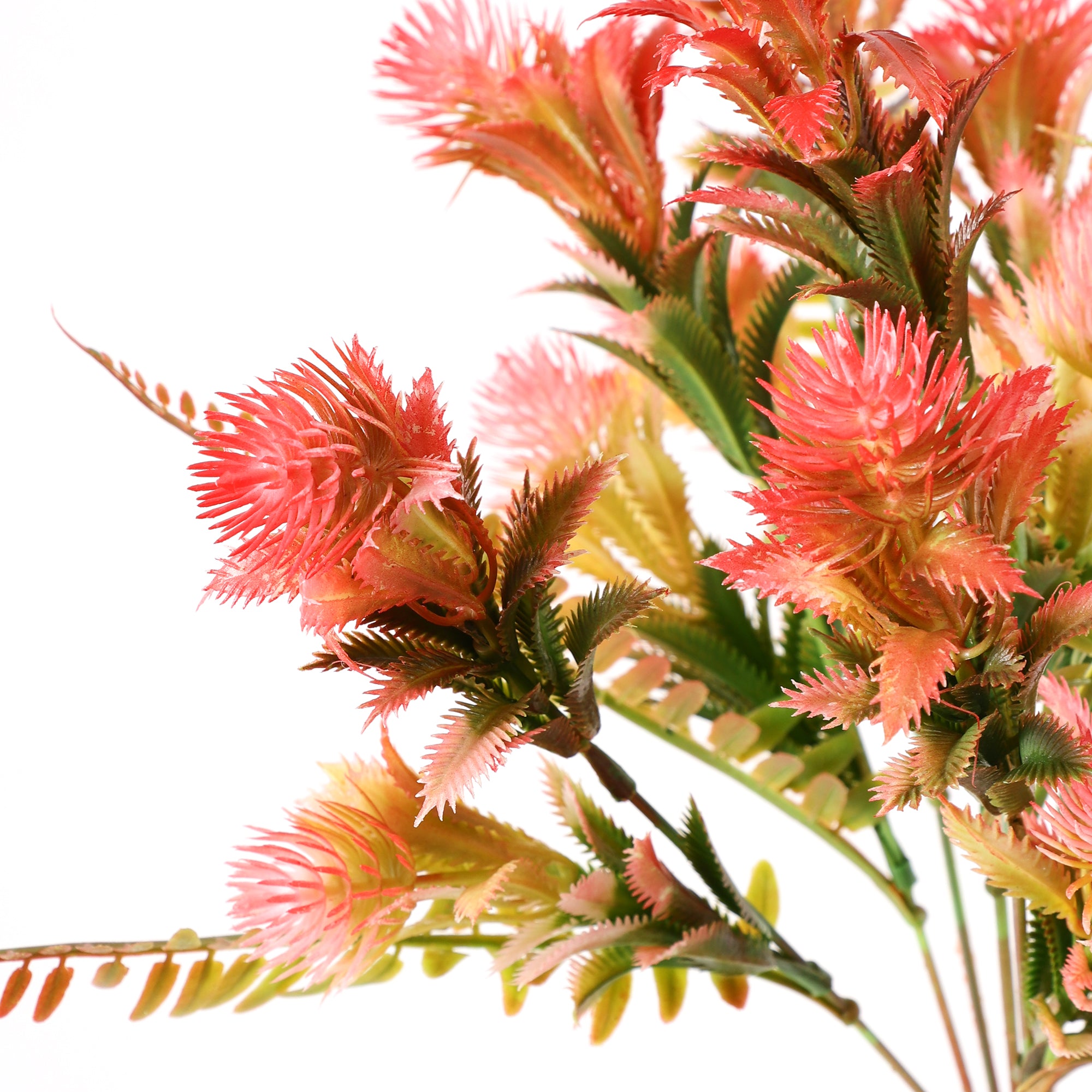 Pink Fern Bunch (Single)