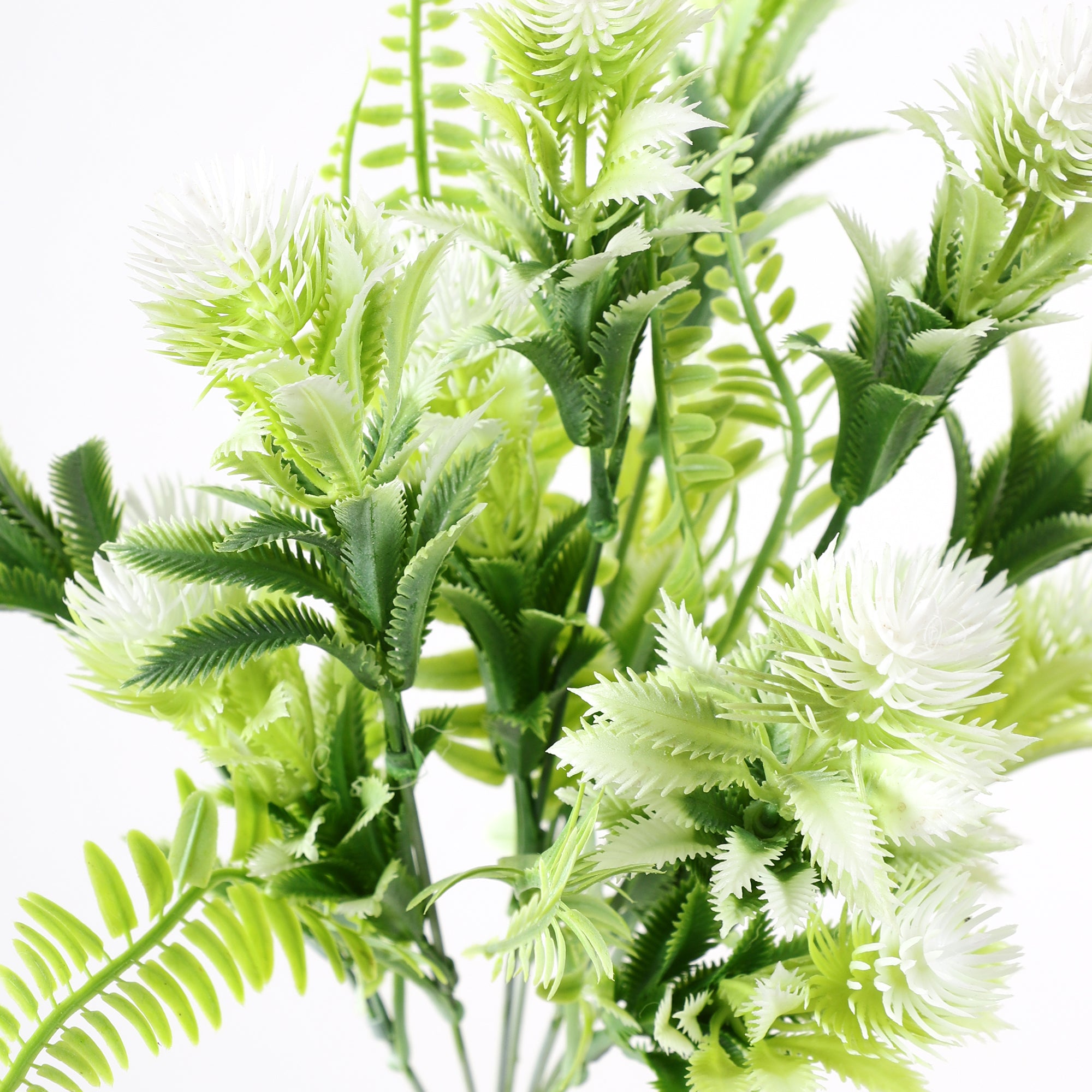 White Fern Bunch (Single)