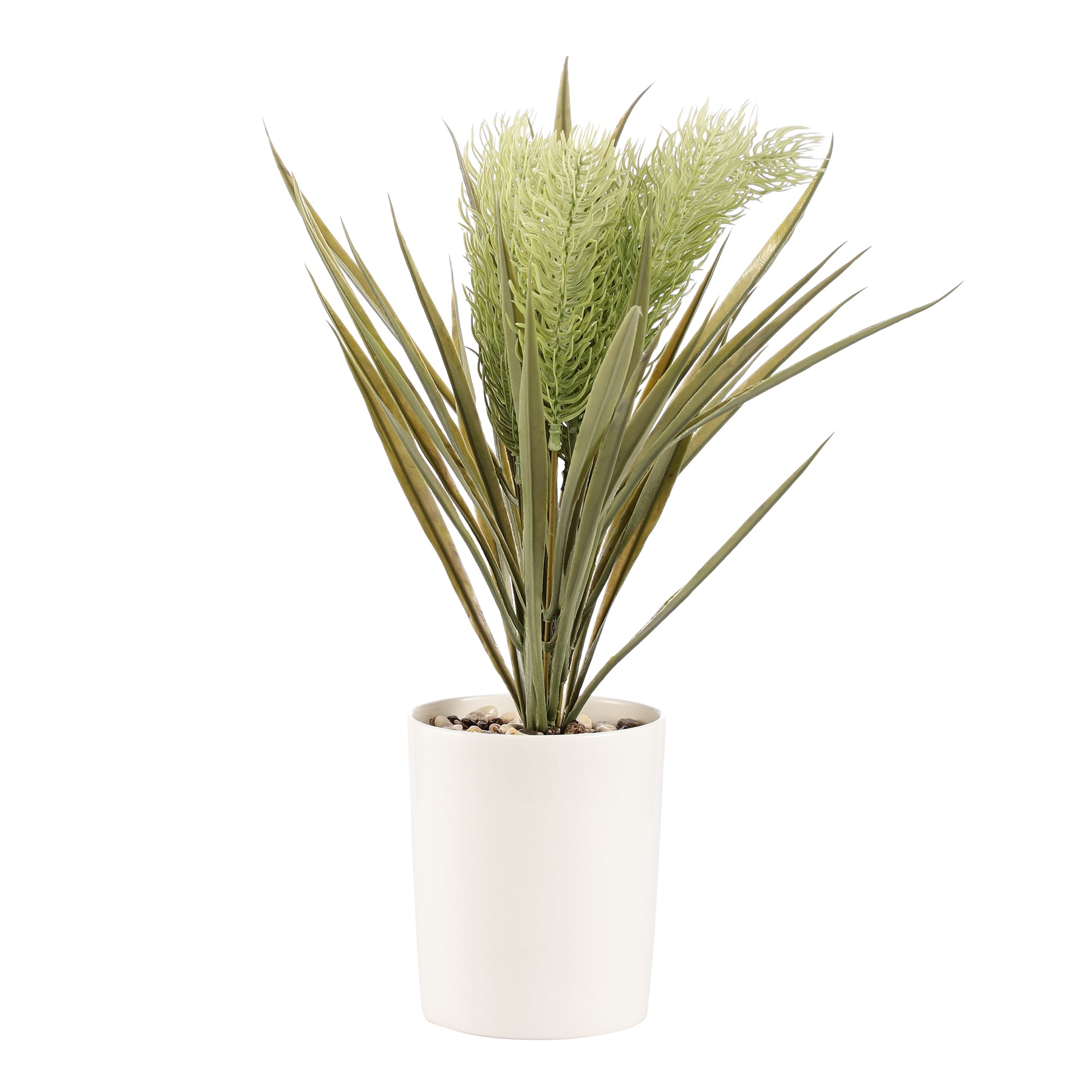 White Yucca Pampas Bonsai Ceramic Potted Plant