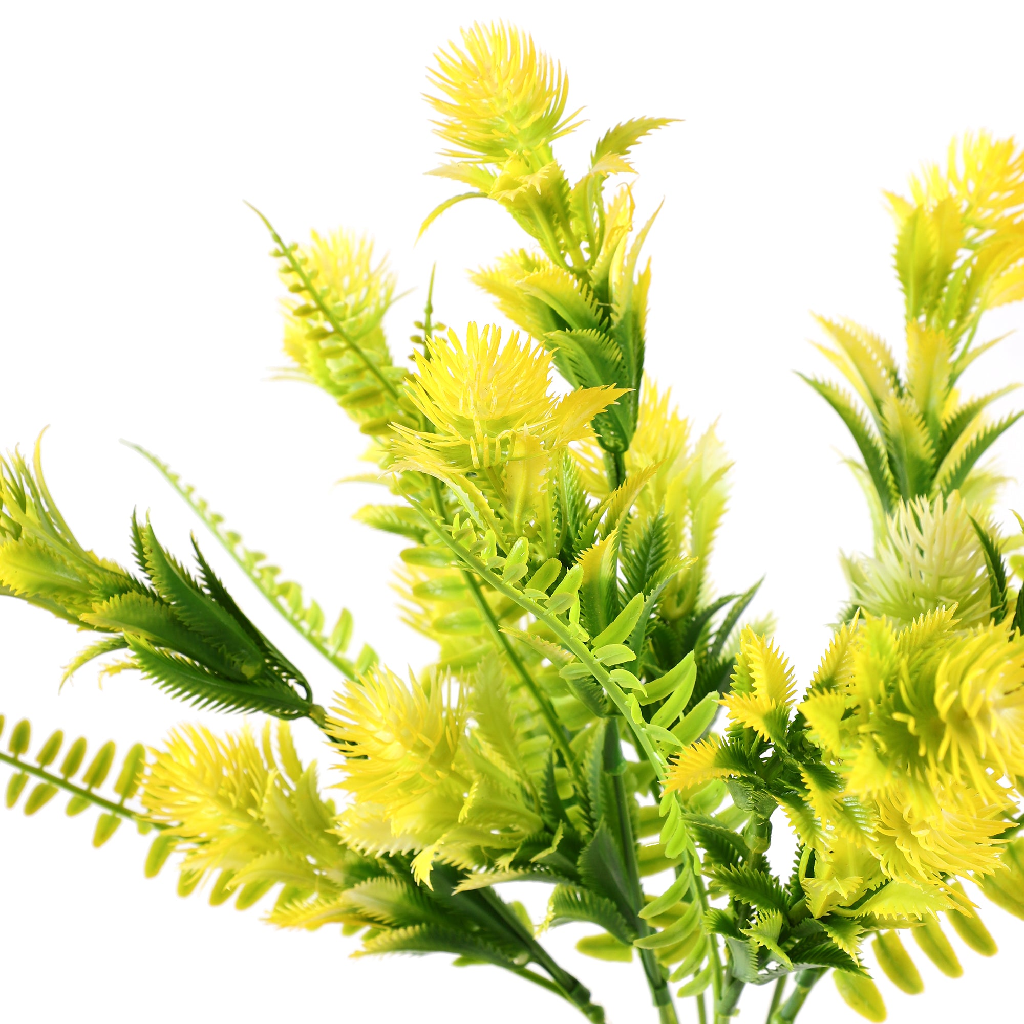 Yellow Fern Bunch (Single)