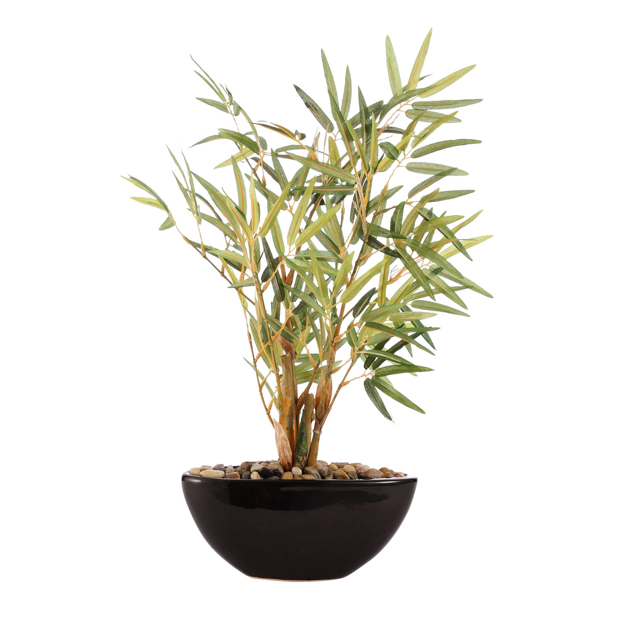 Bamboo Bonsai Ceramic Potted Plant