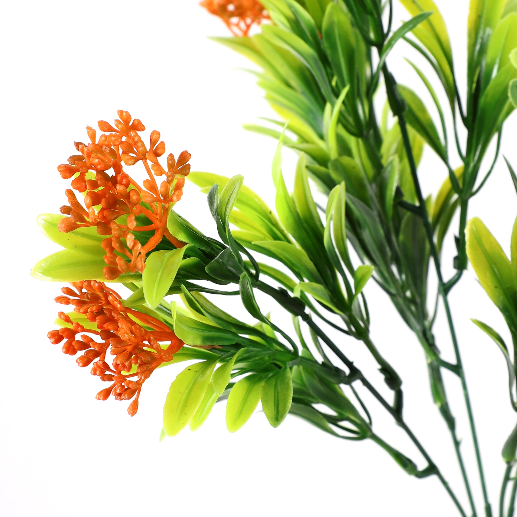 Orange Ixora Flower Bunch (Single)