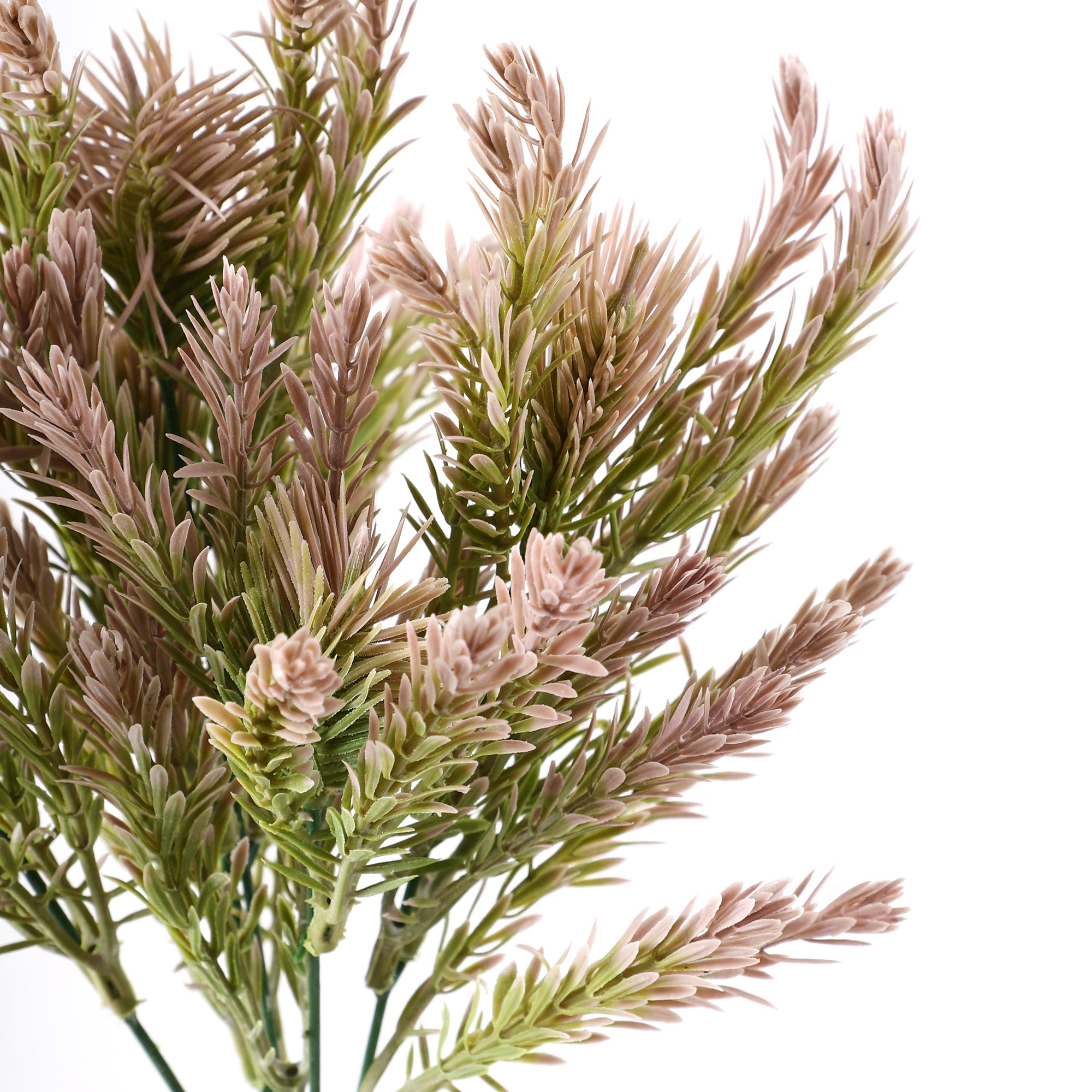 Mauve Pampas Grass Bunch (Single)