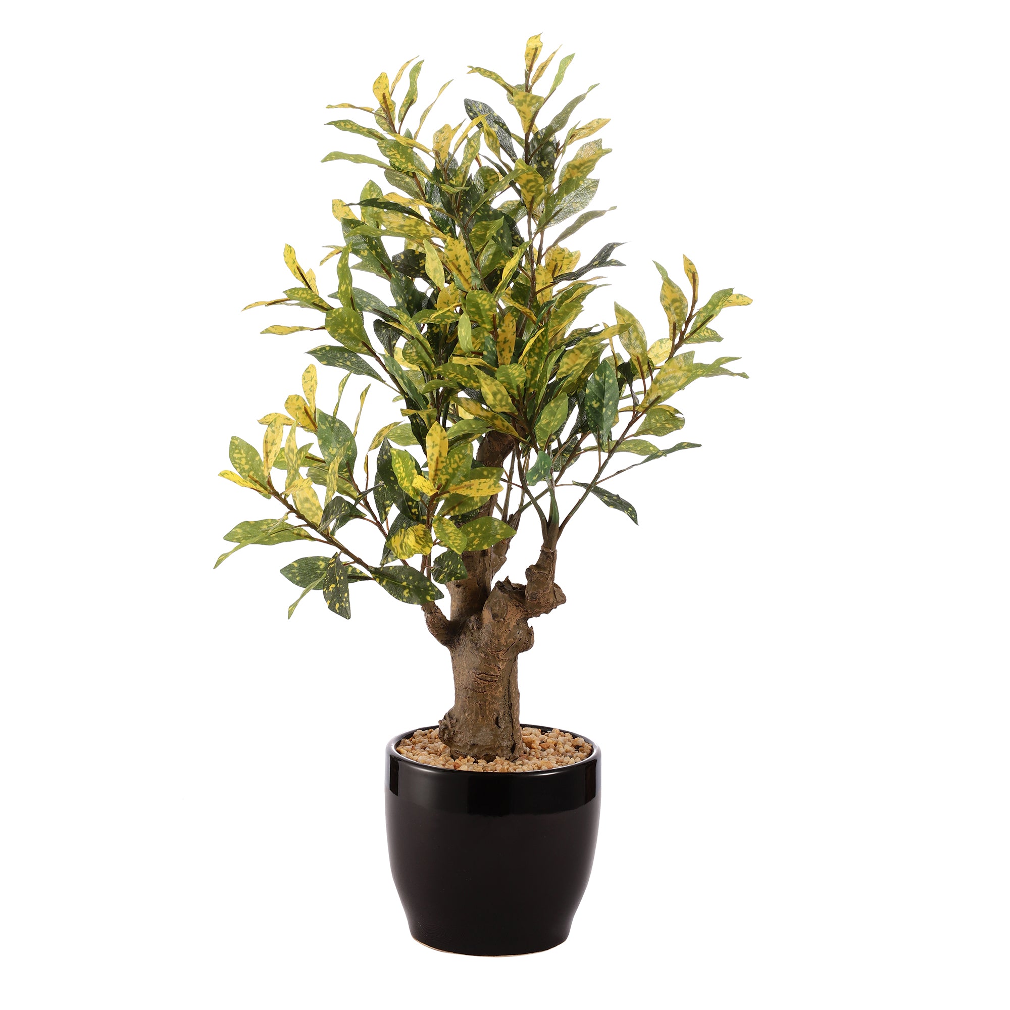 Japanese Aucuba Faux Ceramic Potted Plant