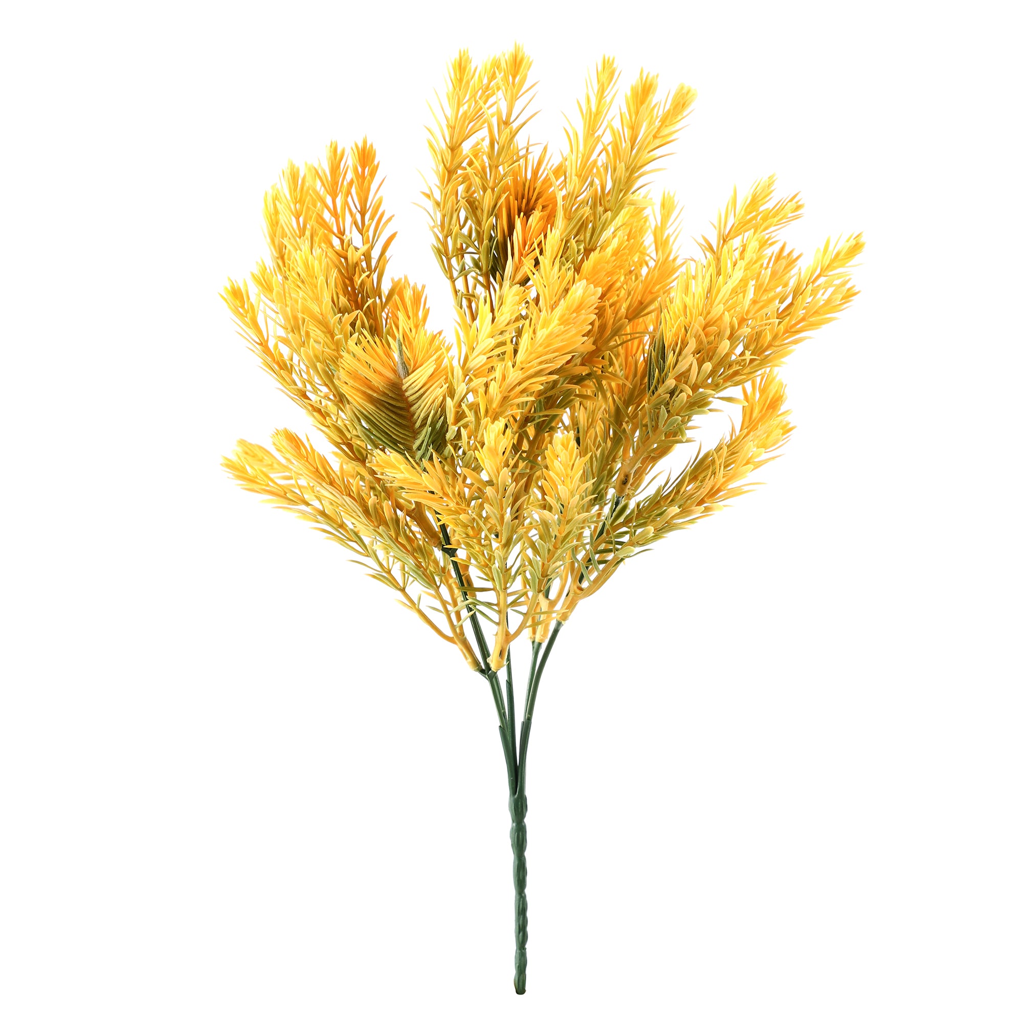 Yellow Pampas Grass Bunch (Single)