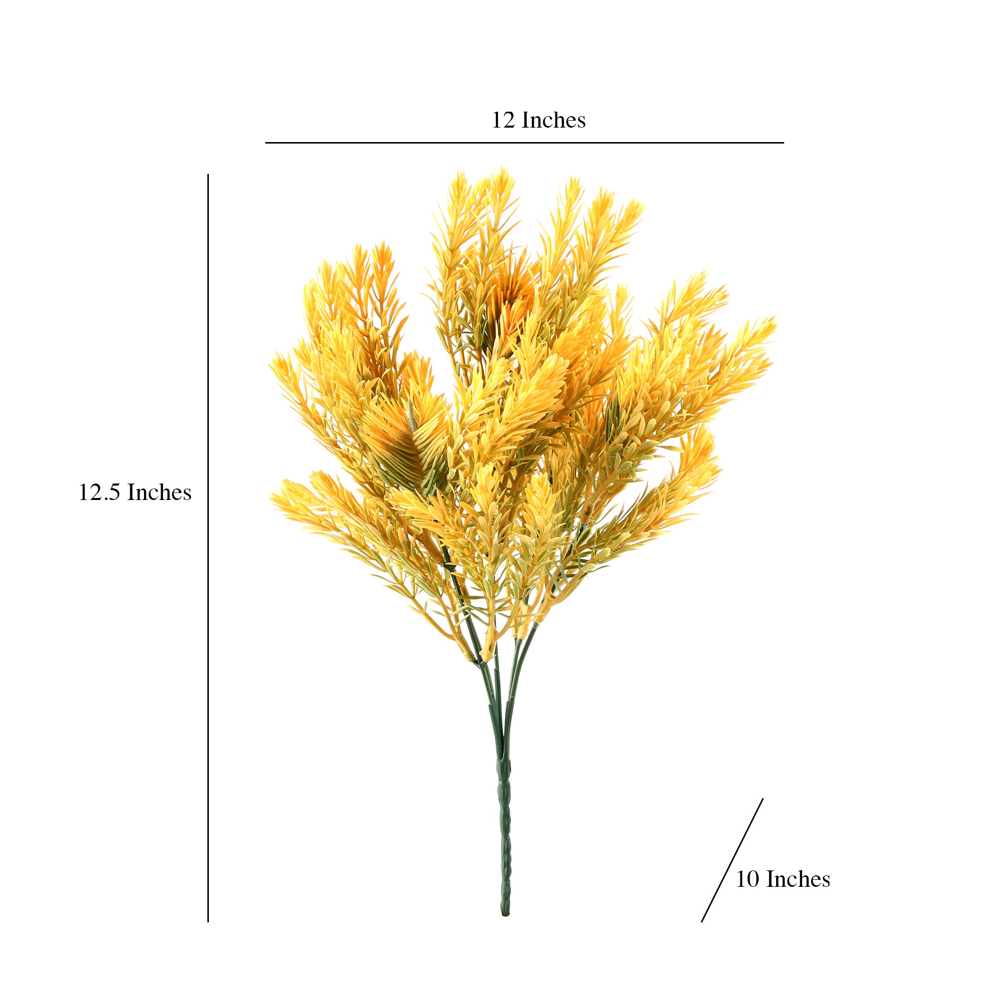 Yellow Pampas Grass Bunch (Single)