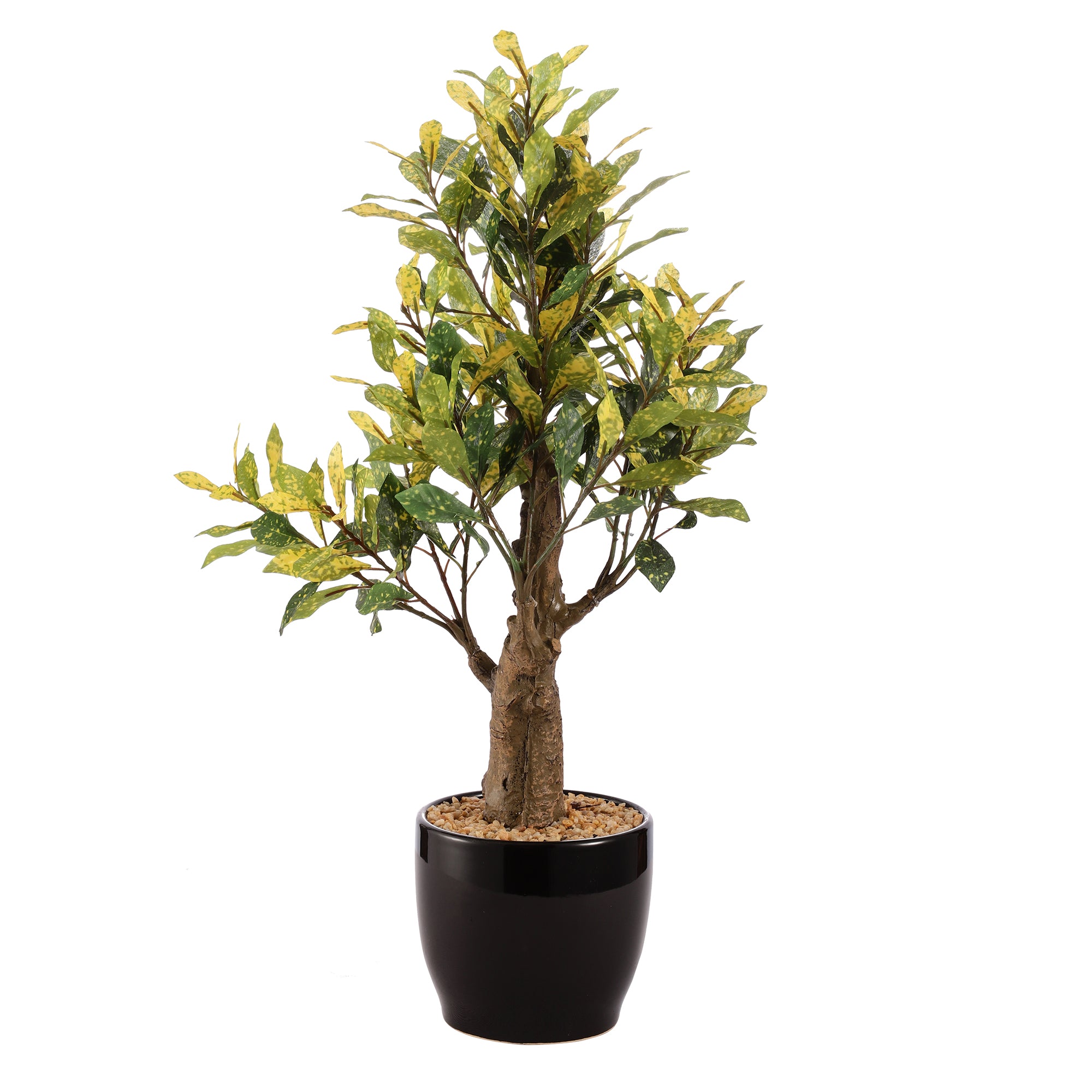 Japanese Aucuba Faux Ceramic Potted Plant