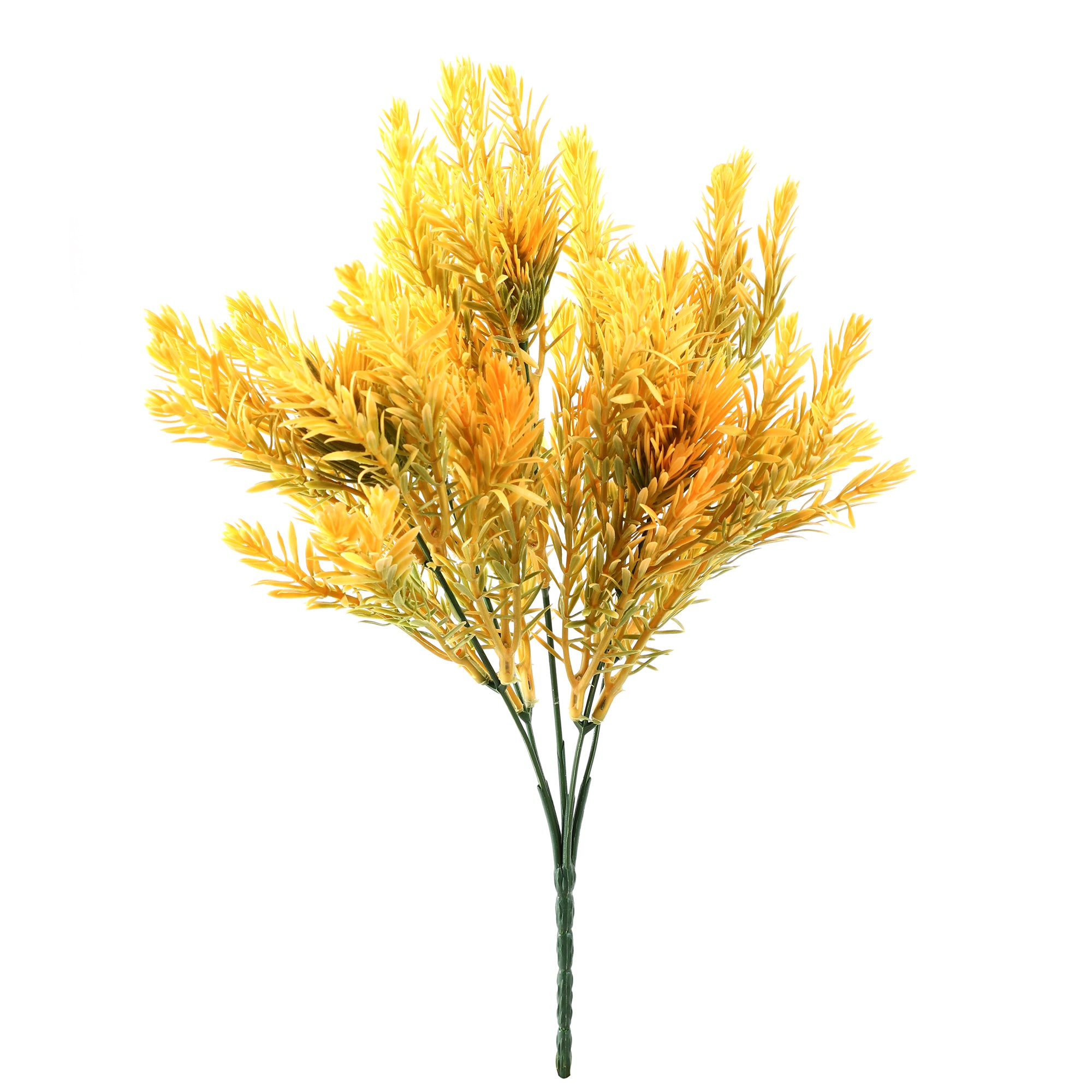 Yellow Pampas Grass Bunch (Single)