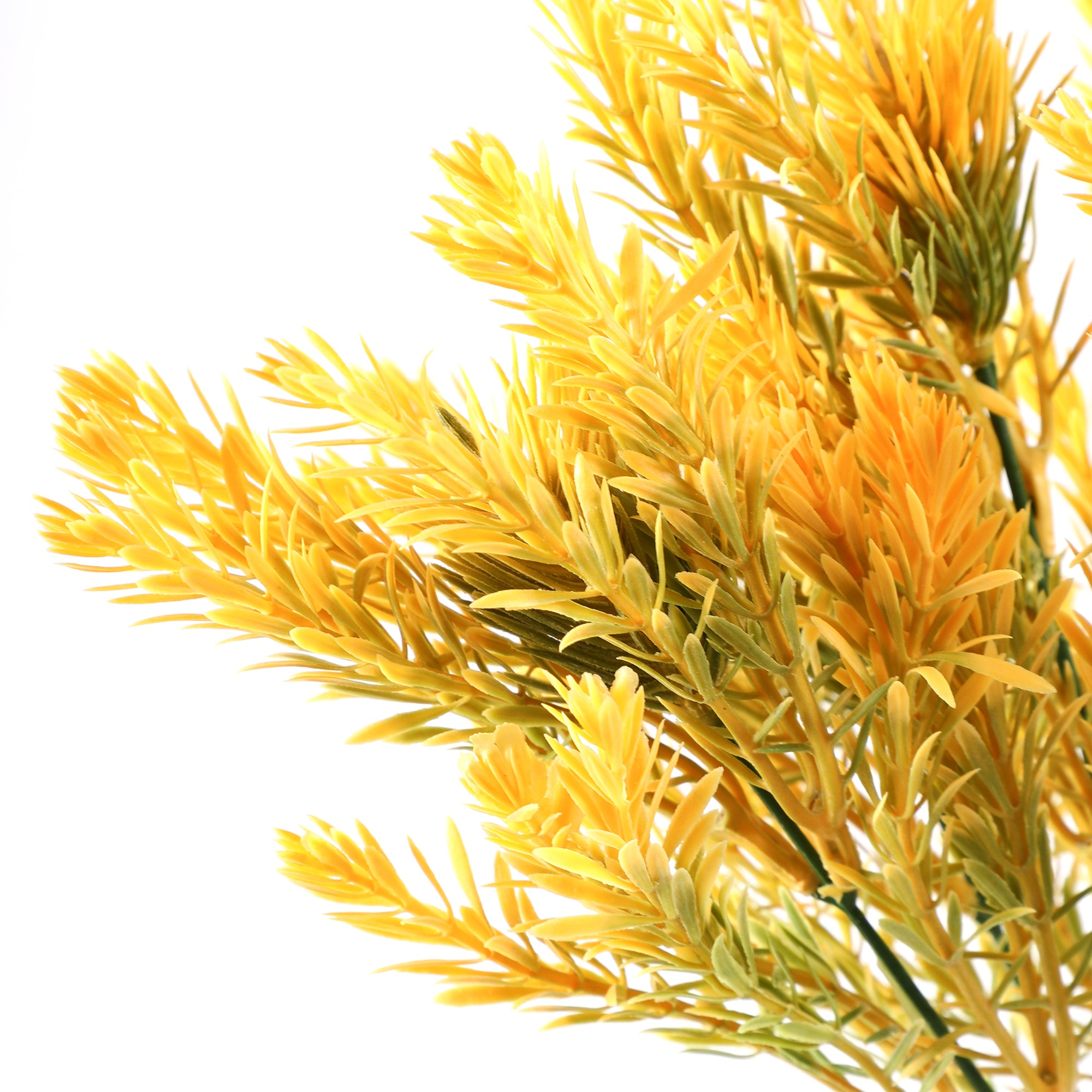 Yellow Pampas Grass Bunch (Single)