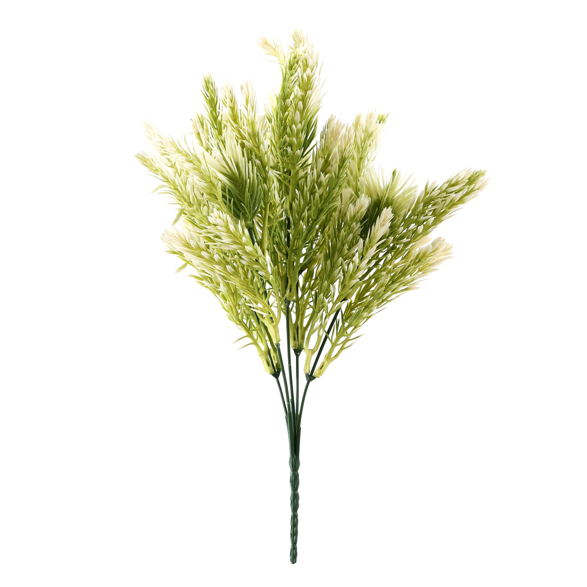 White Pampas Grass Bunch (Single)