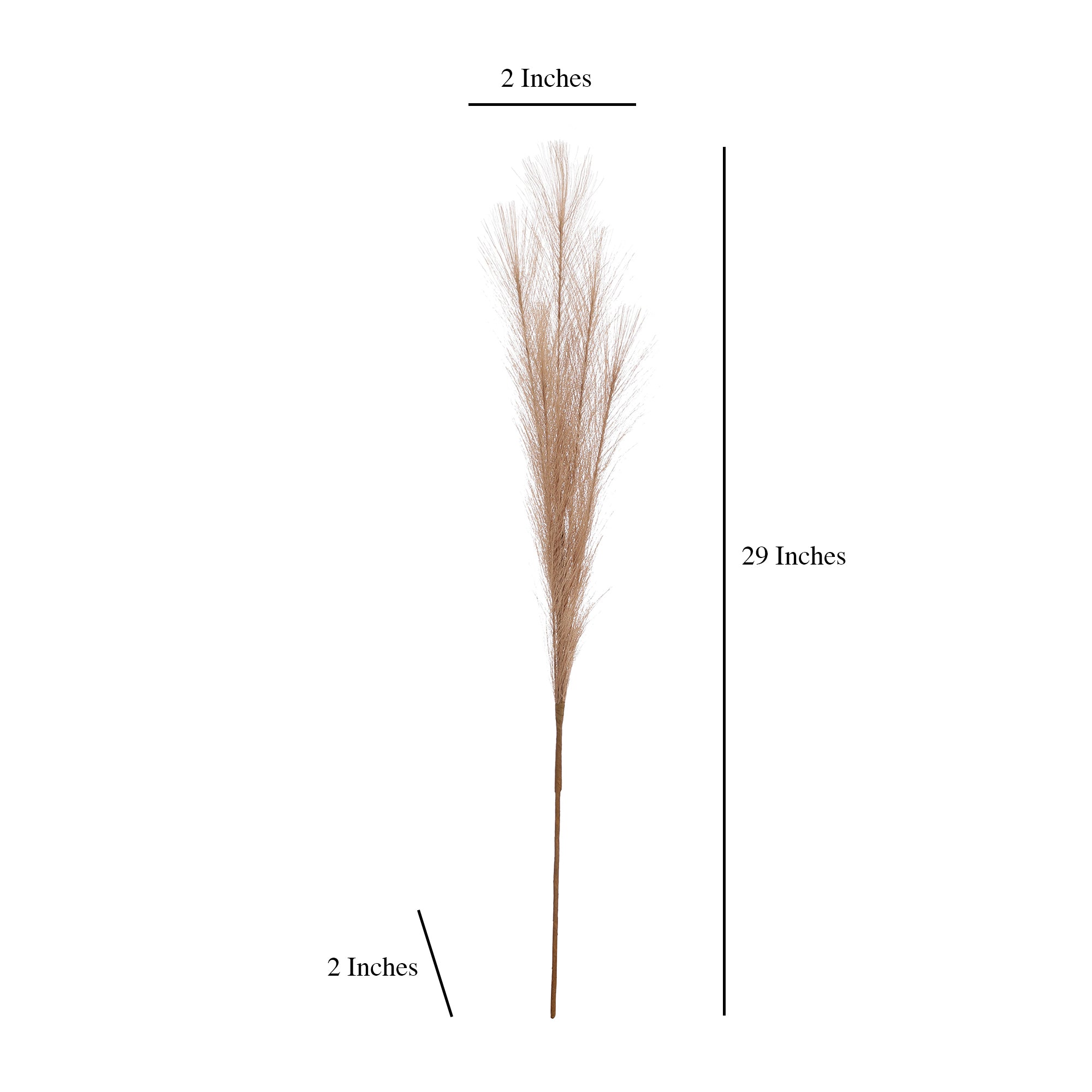 Beige Faux Pampas Grass (Set of 5)