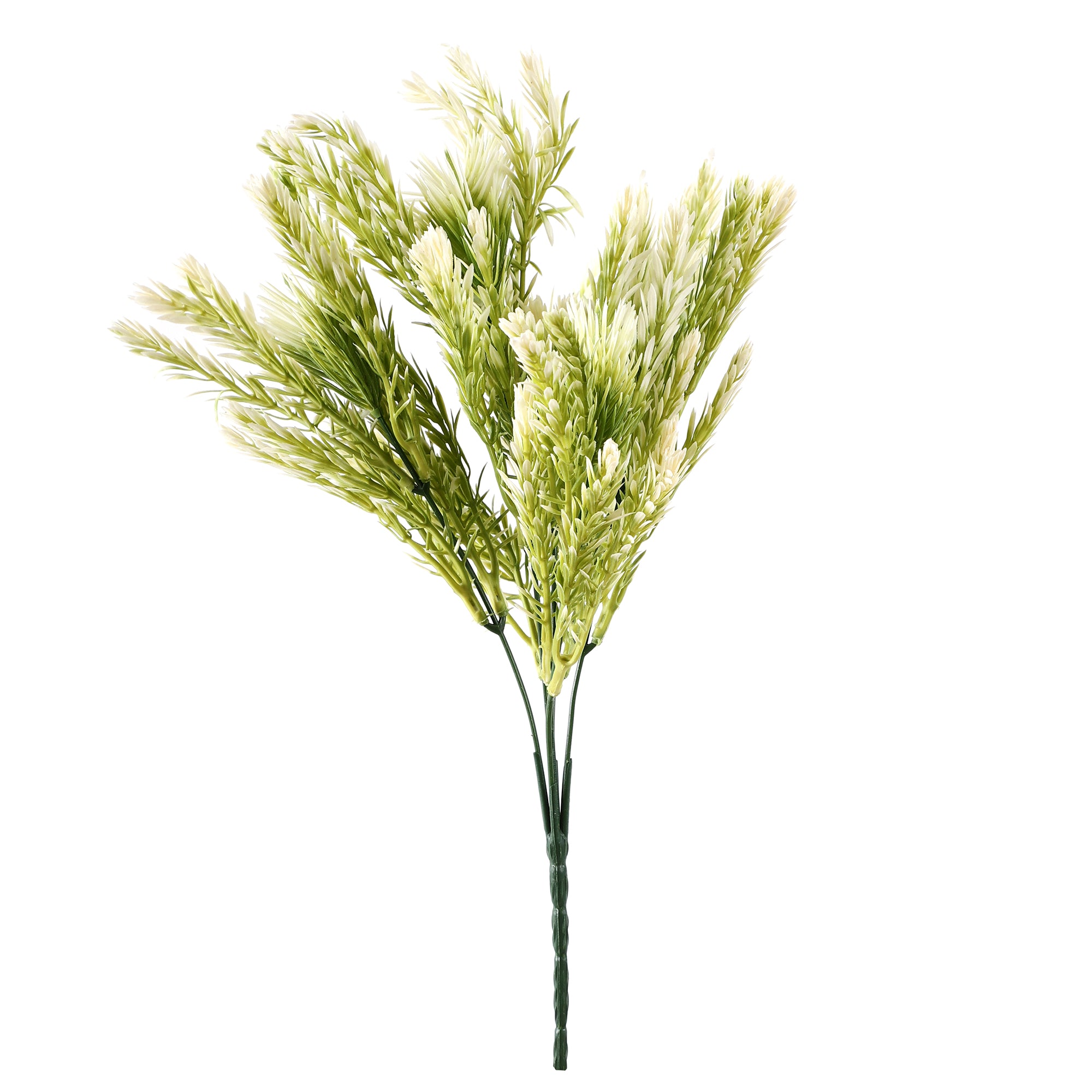 White Pampas Grass Bunch (Single)