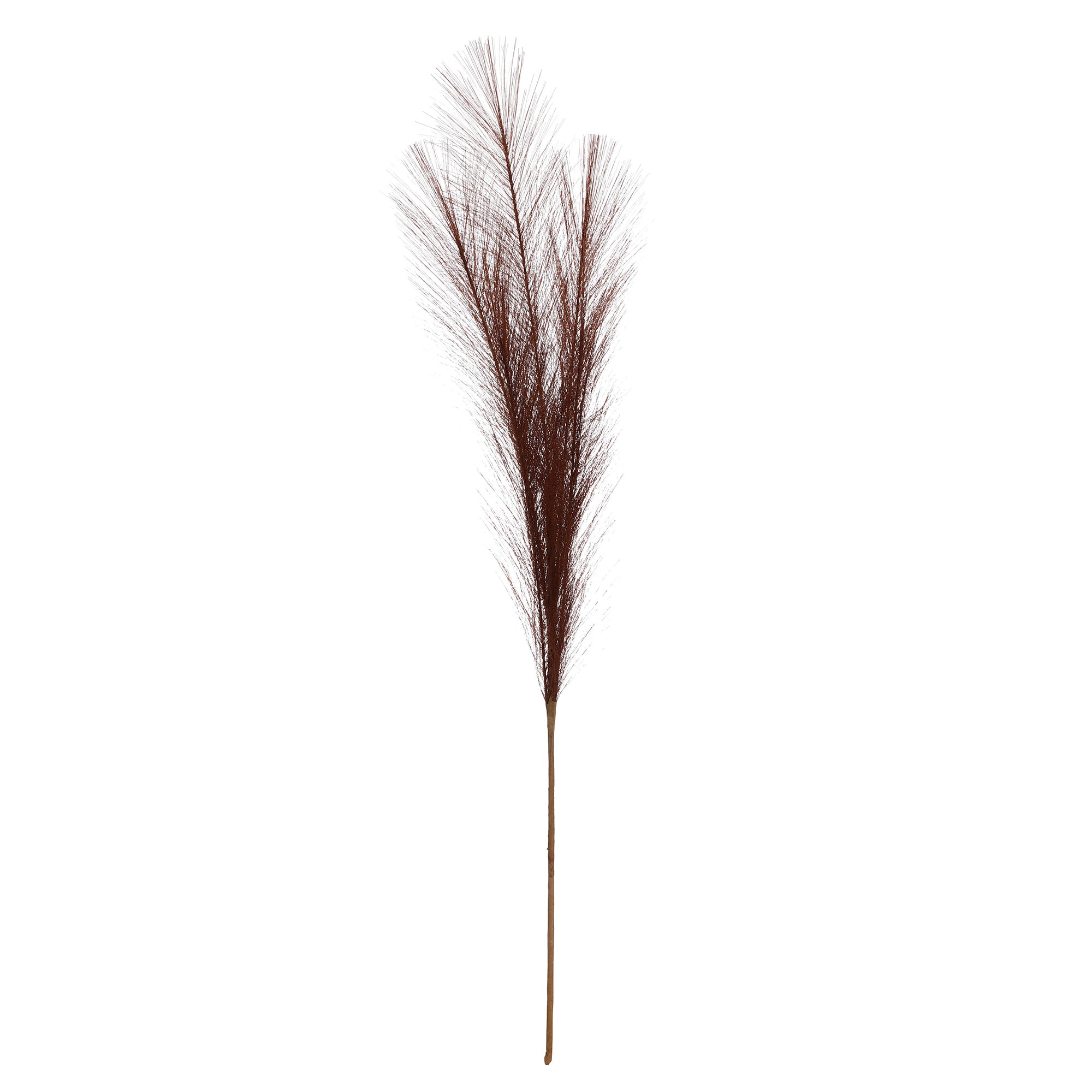 Brown Faux Pampas Grass (Set of 5)