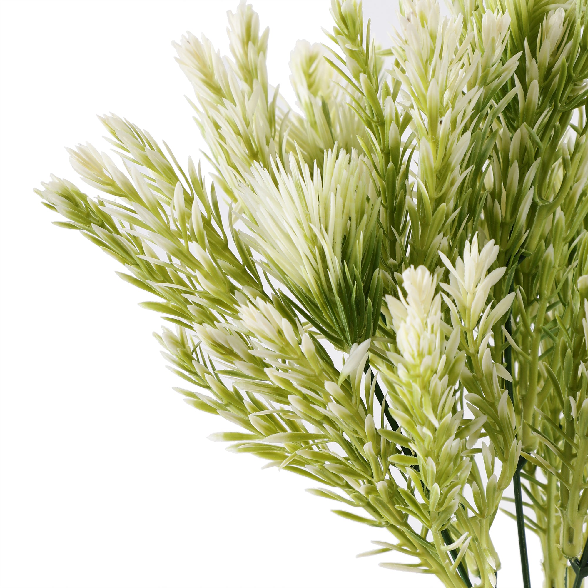 White Pampas Grass Bunch (Single)