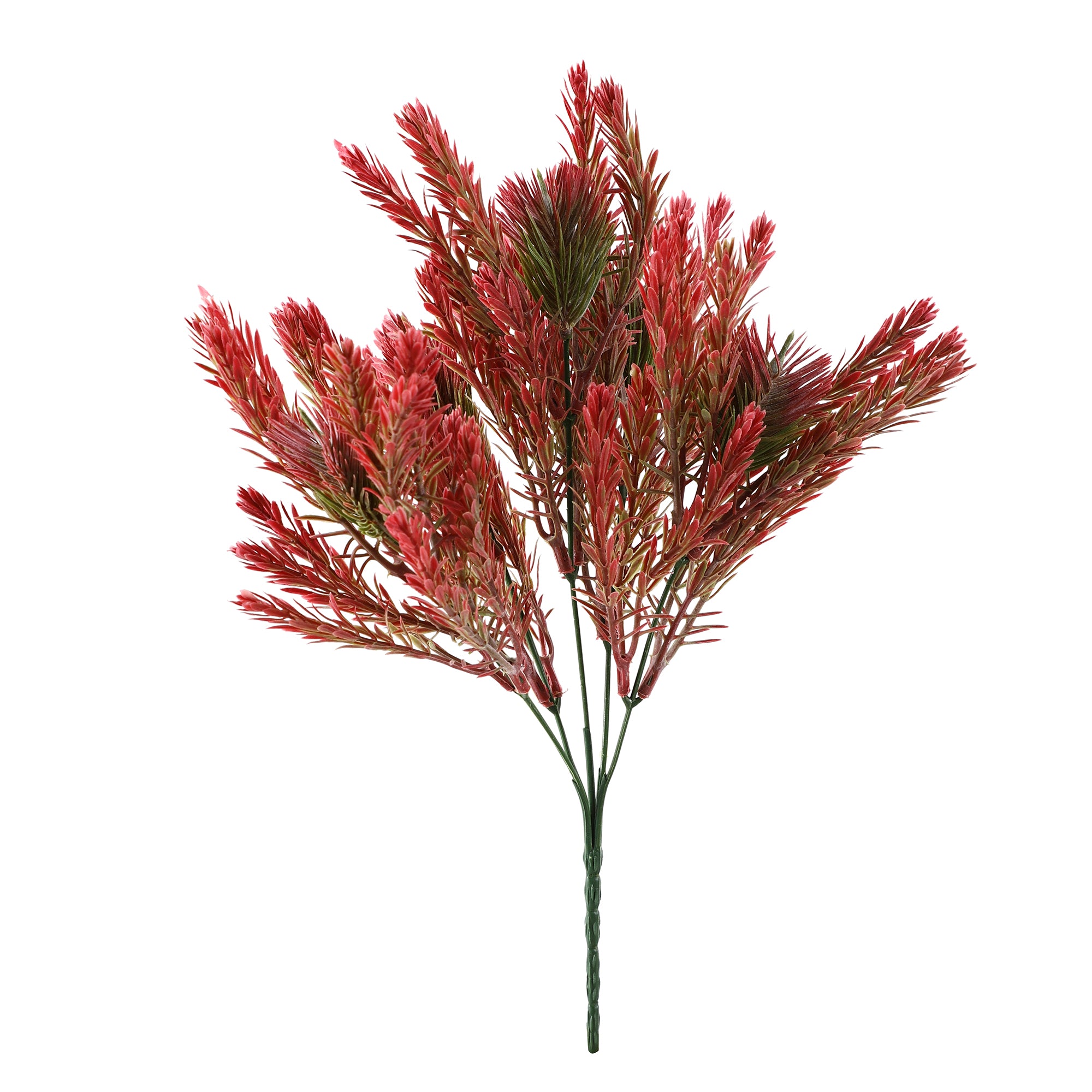 Red Pampas Grass Bunch (Single)