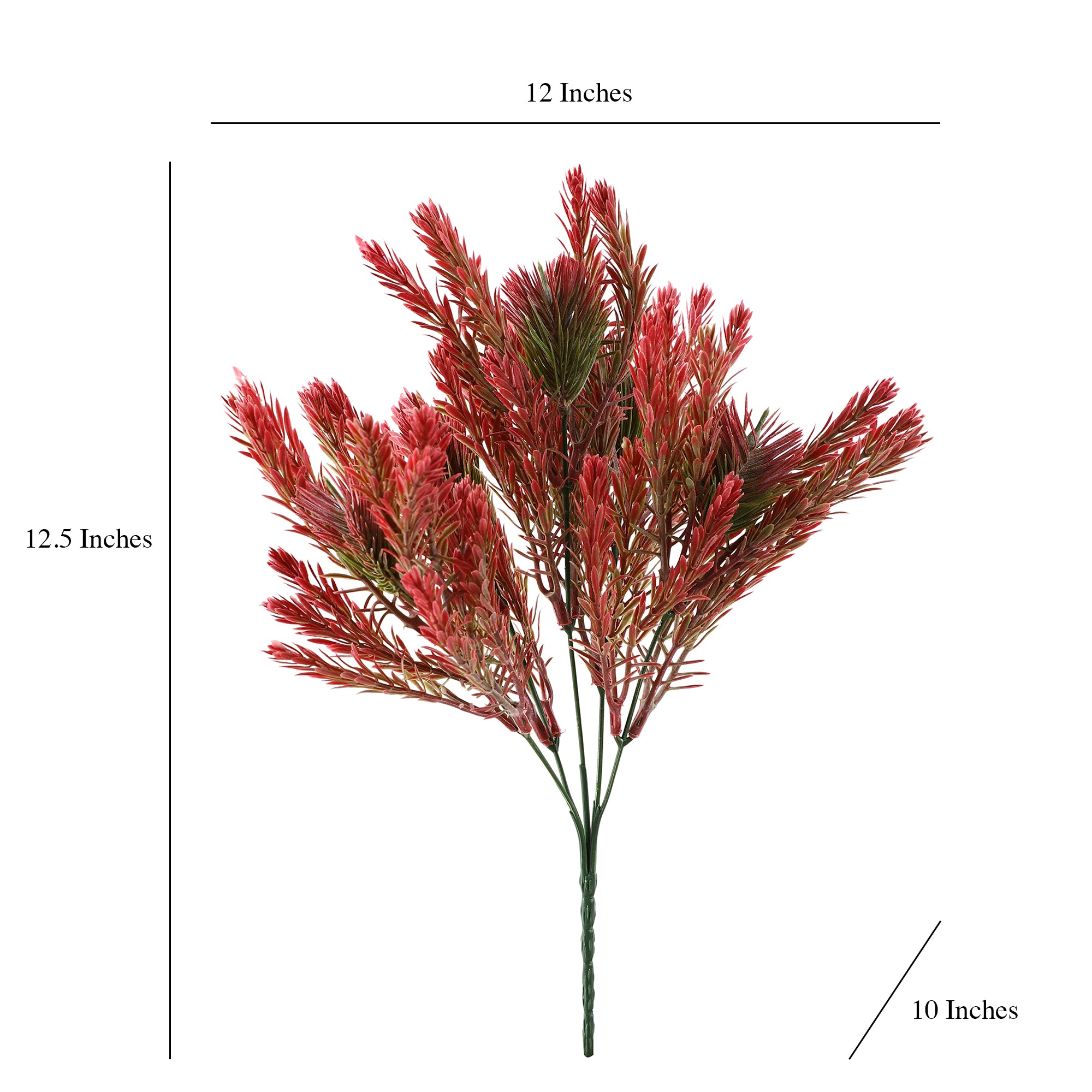 Red Pampas Grass Bunch (Single)