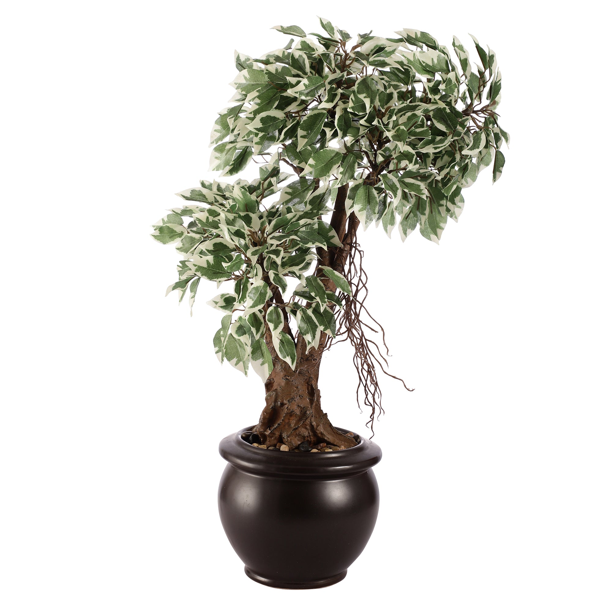 Schefflera Faux Ceramic Potted Plant